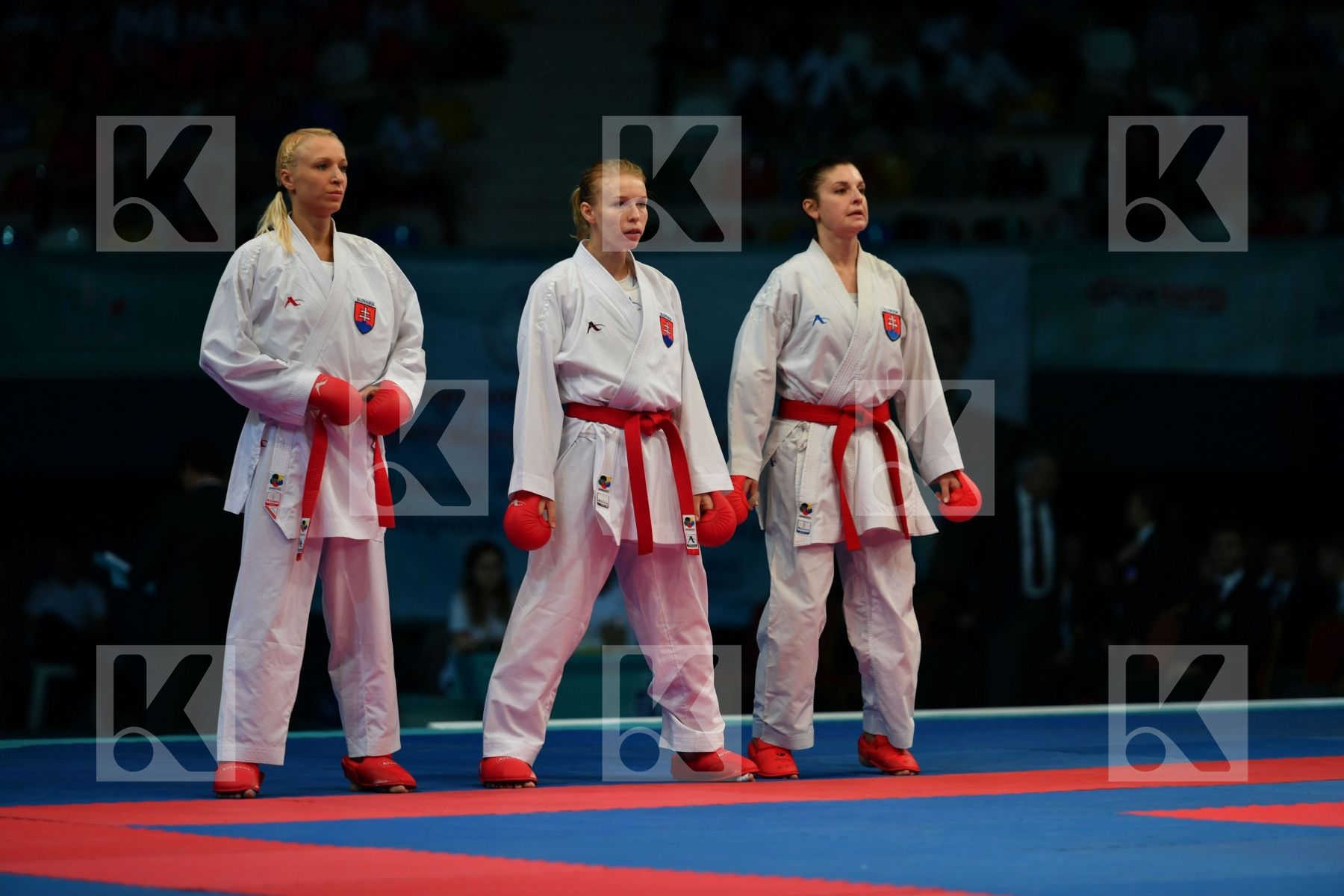 Female team kumite Germany Germany Germany Slovakia Slovakia Slo