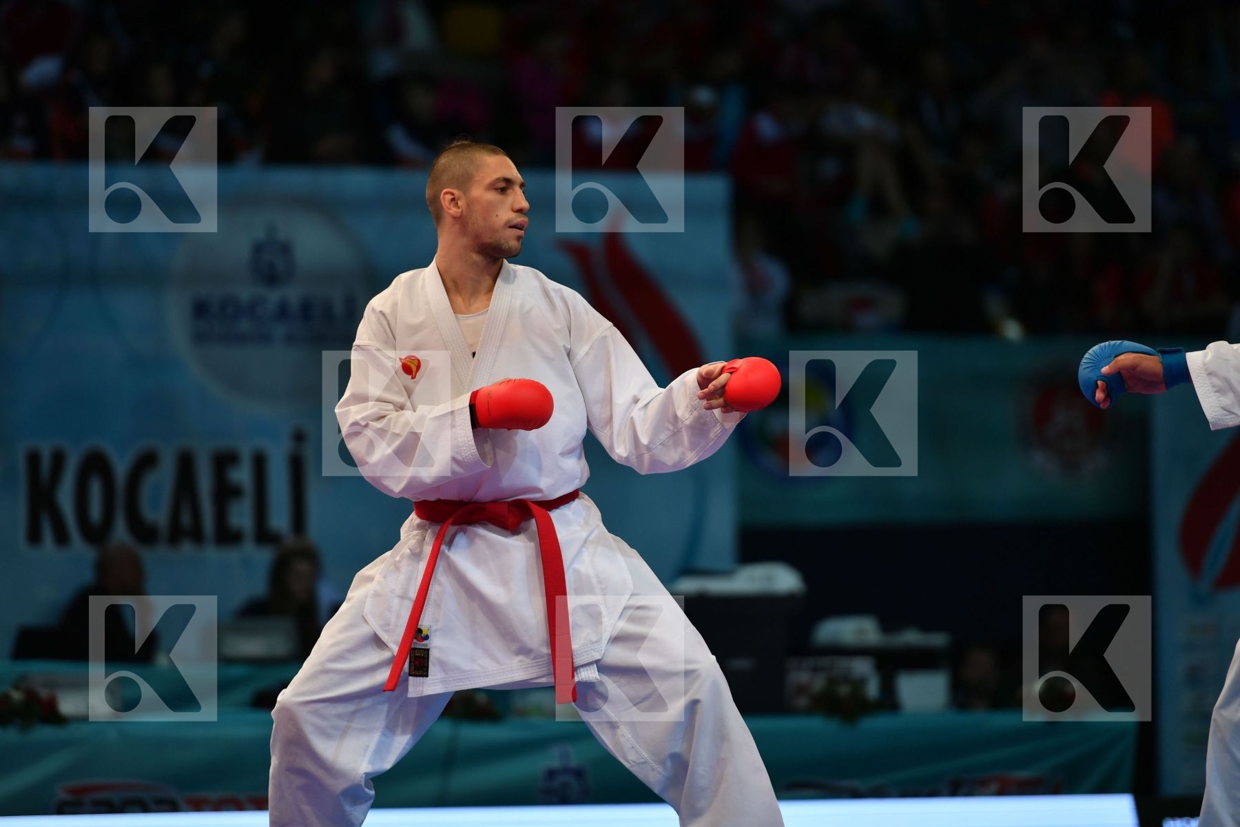 Busa Luigi Horuna Stanislav Italy Male kumite -75 kg Ukraine