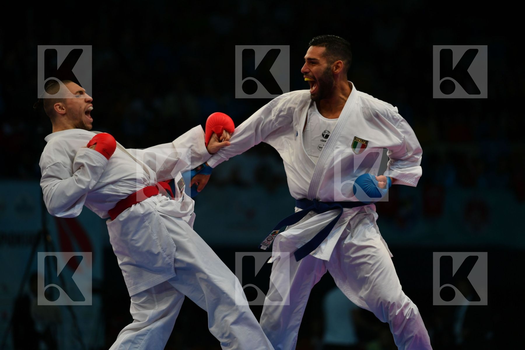 Busa Luigi Horuna Stanislav Italy Male kumite -75 kg Ukraine