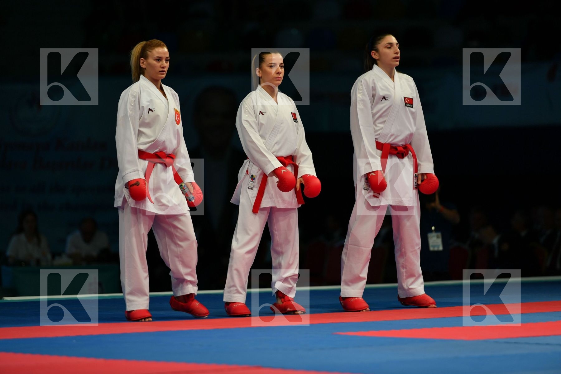 Female team kumite Germany Germany Germany Turkey Turkey Turkey