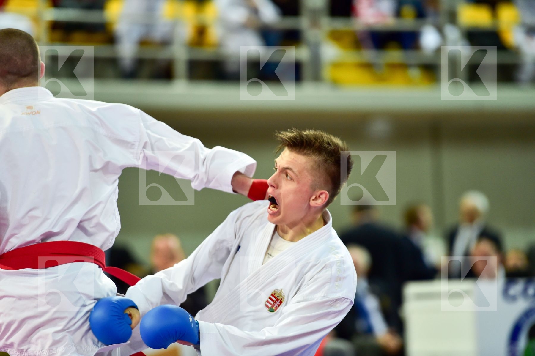 -68 Kg Erdos Martin Hodzic Mario Hungary Junior Kumite Kwon Male