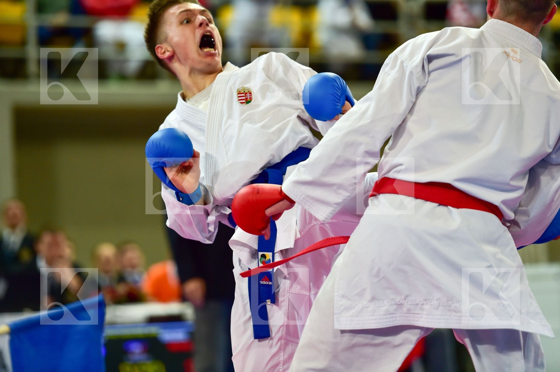 -68 Kg Erdos Martin Hodzic Mario Hungary Junior Kumite Kwon Male