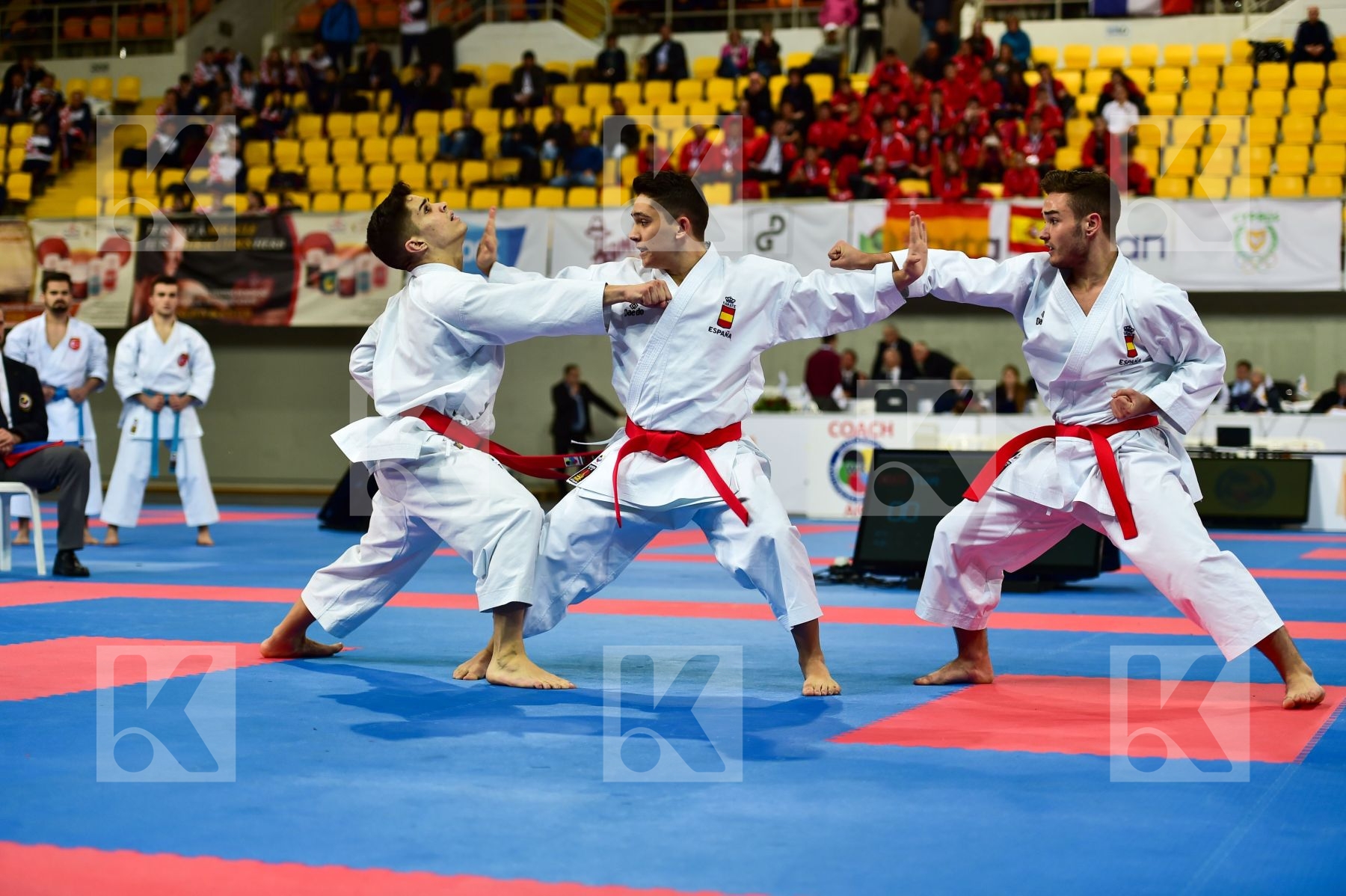Cadets et Juniors DaeDo Kata Male Spain team