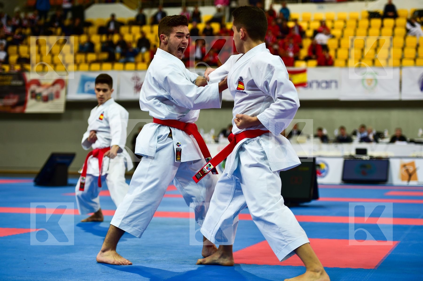 Cadets et Juniors DaeDo Kata Male Spain team