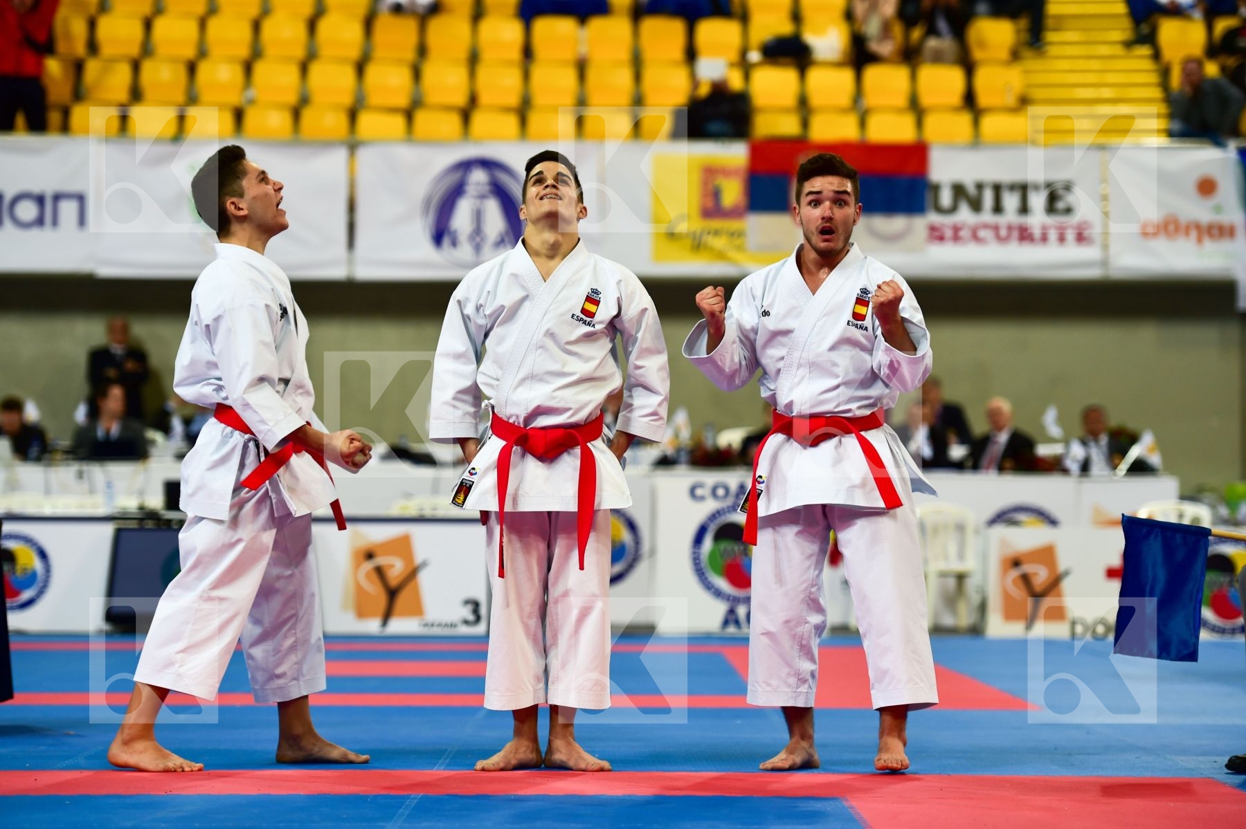 Cadets et Juniors DaeDo Kata Male Spain team