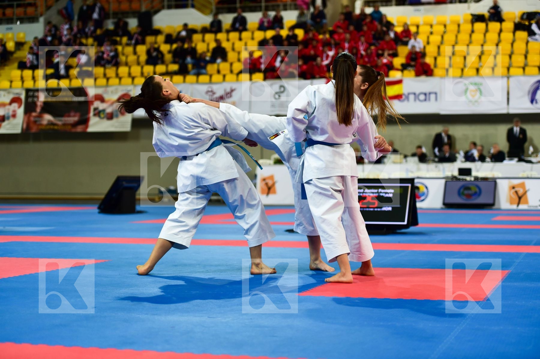 Cadets et Juniors DaeDo Female Kata Spain team