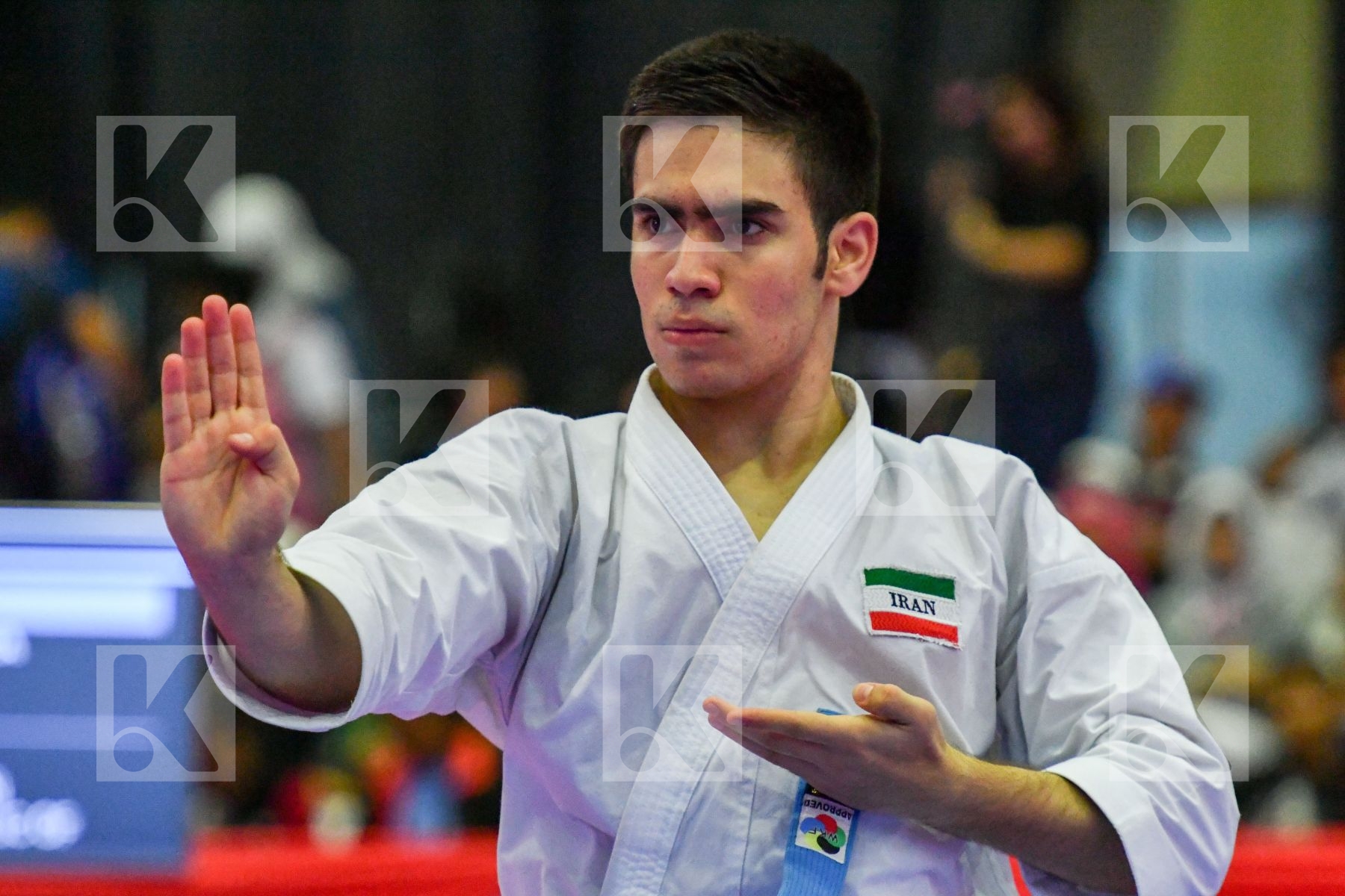 Iran Islamic Republic Of Junior Kata Male Zand Ali