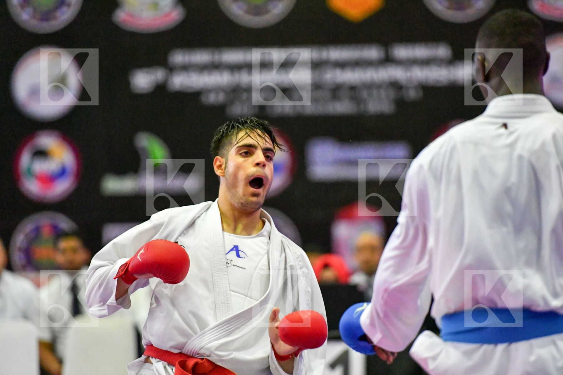 Ghararizadeh Mahani Mahdi Hamedi Tareg Iran Islamic Republic Of