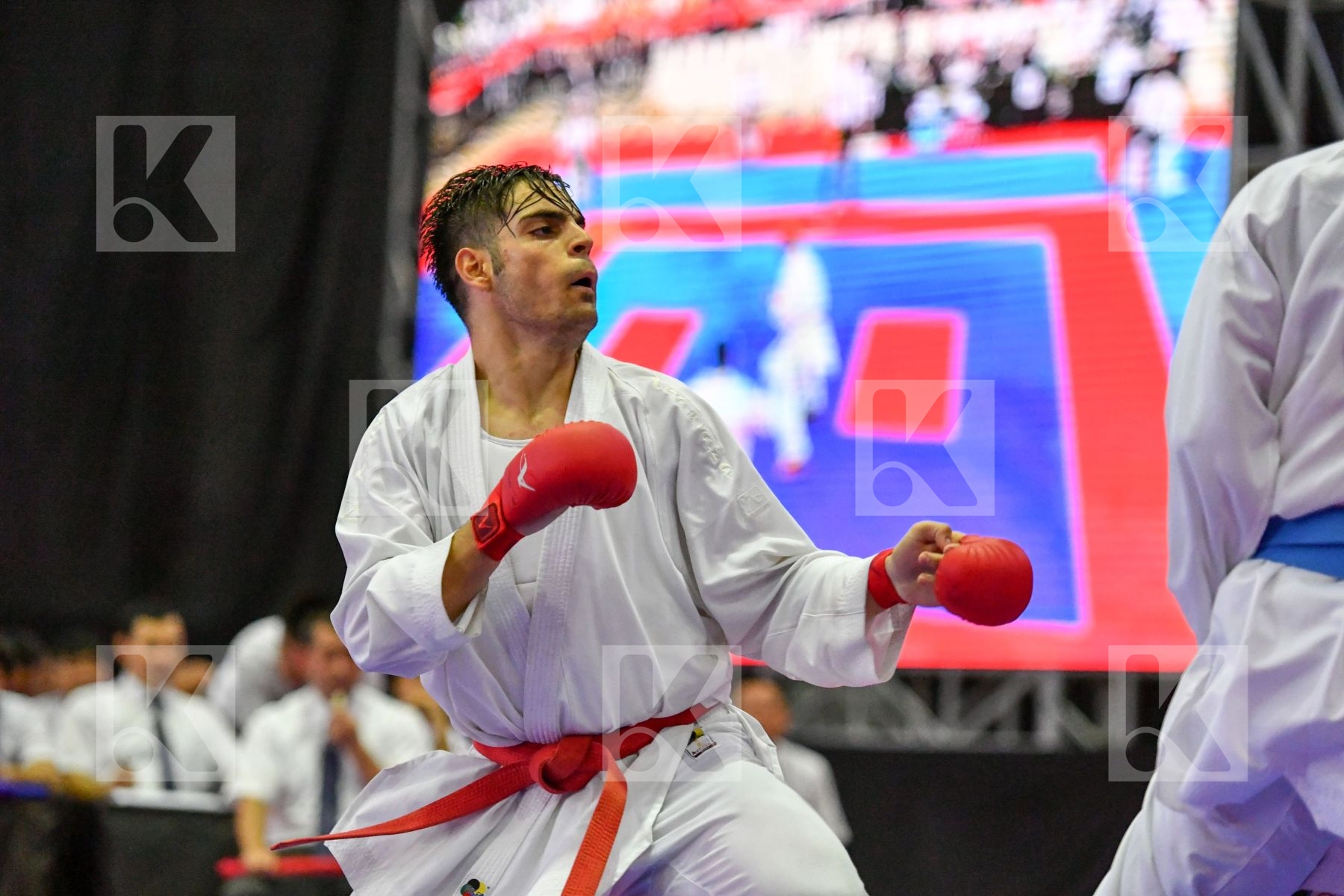 Ghararizadeh Mahani Mahdi Hamedi Tareg Iran Islamic Republic Of