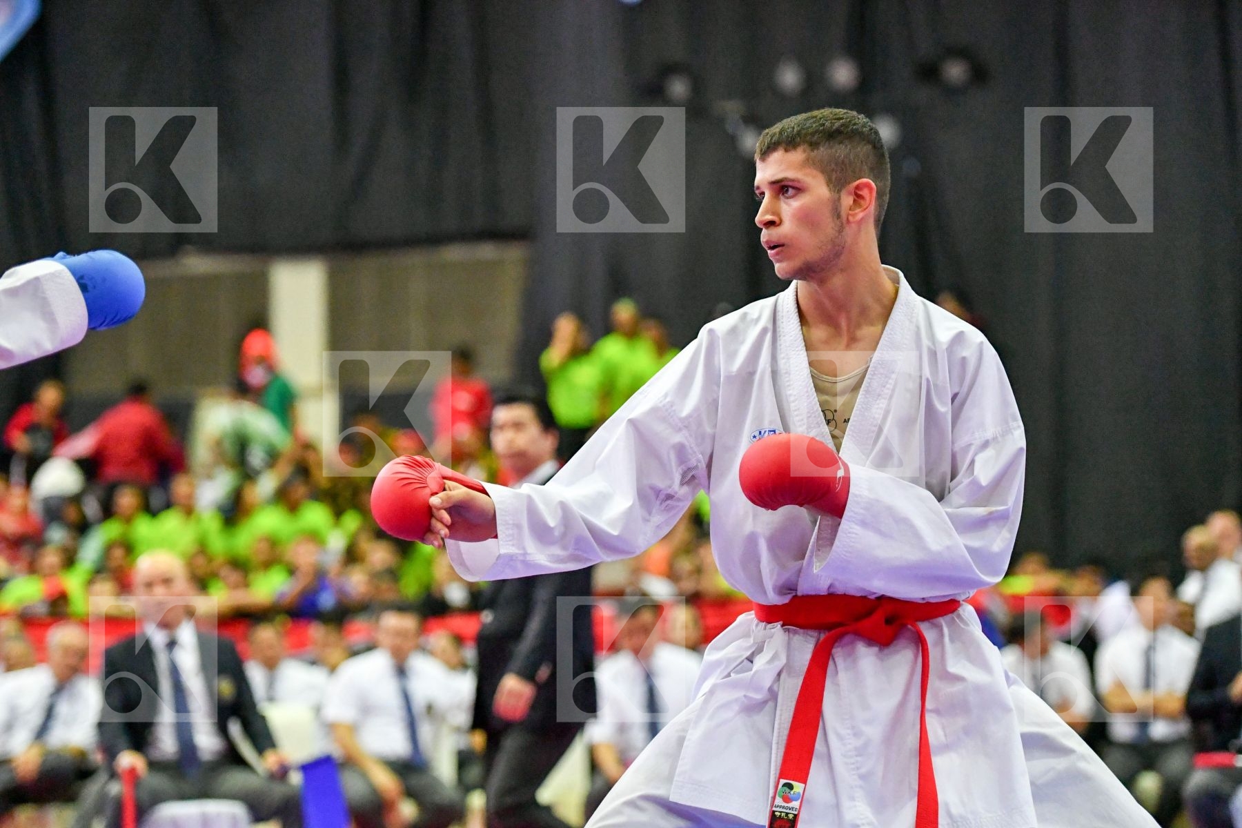 Enayatikafshgarkolaei Reza Iran Islamic Republic Of Jordan Shwei