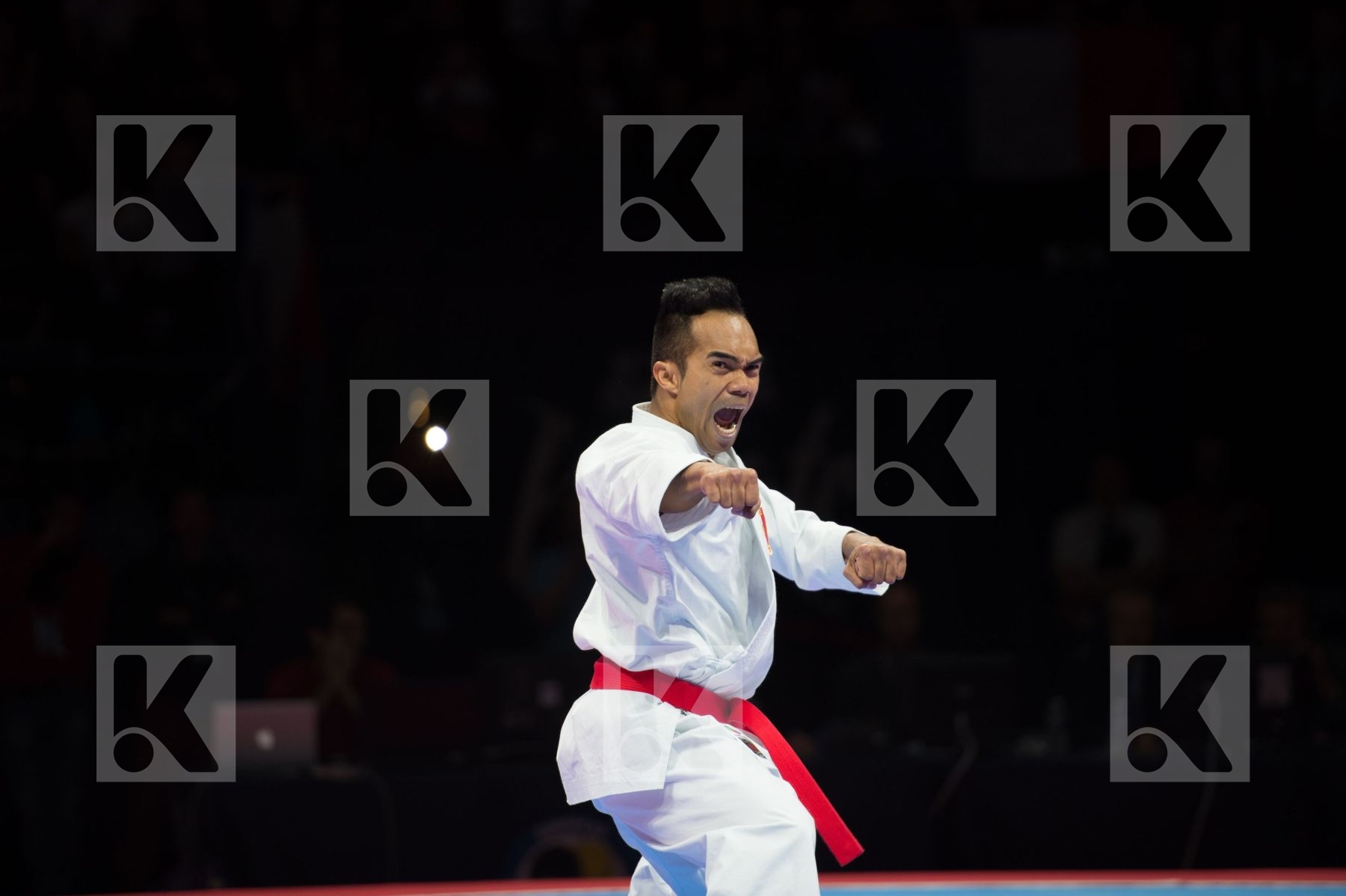 Category Dack Vu Duc Minh final france IsFinal male kata Name1 N