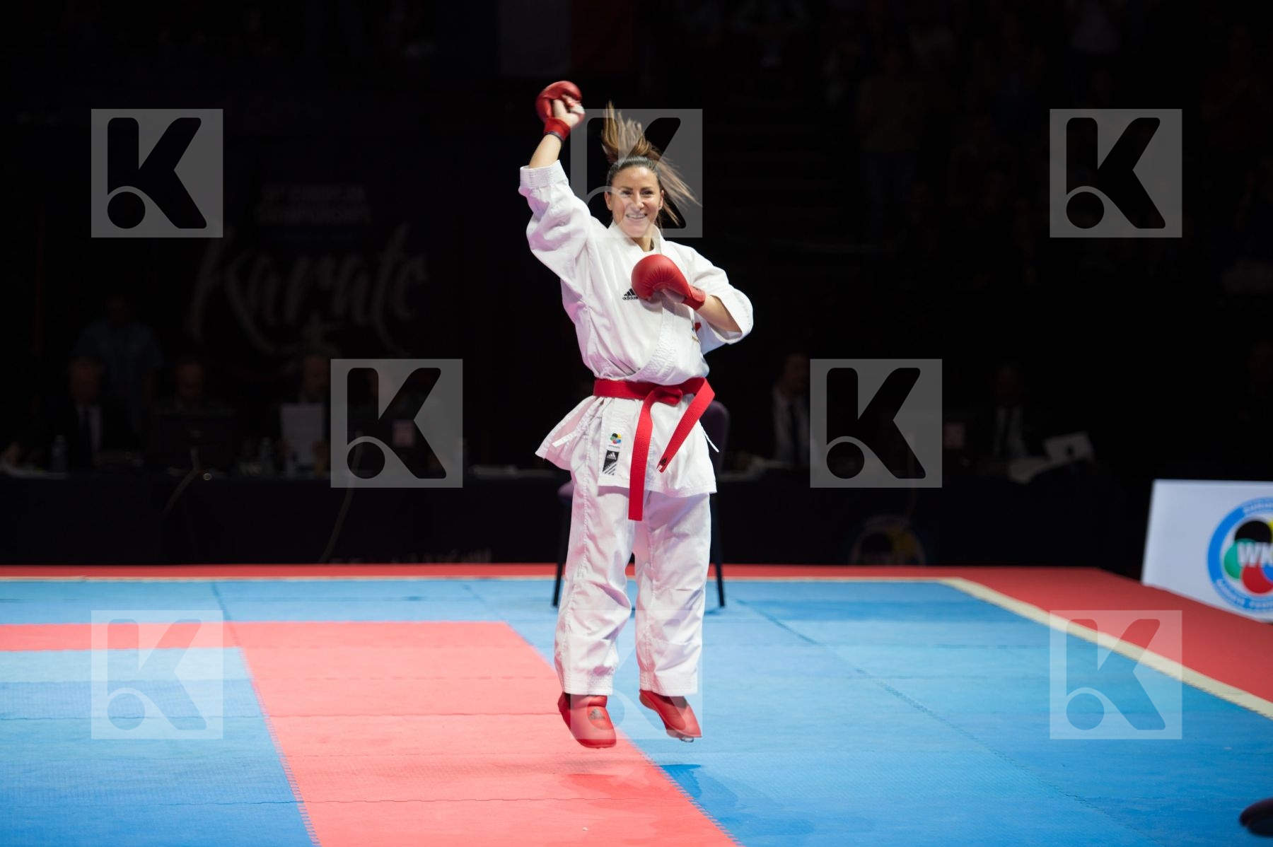 -50 Kg Female final france kumite Ozcelik Serap Recchia Alexandr