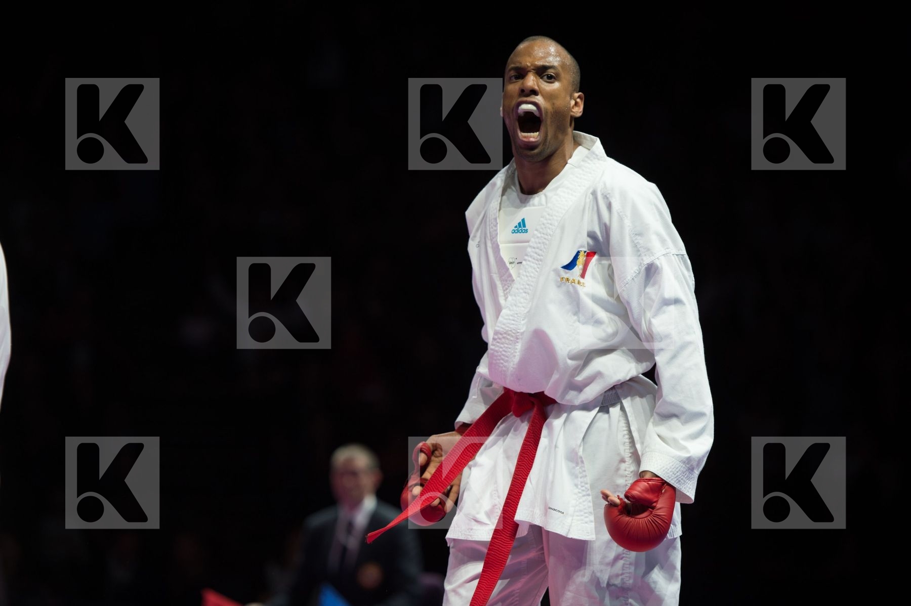 final france kumite Male team Turkey