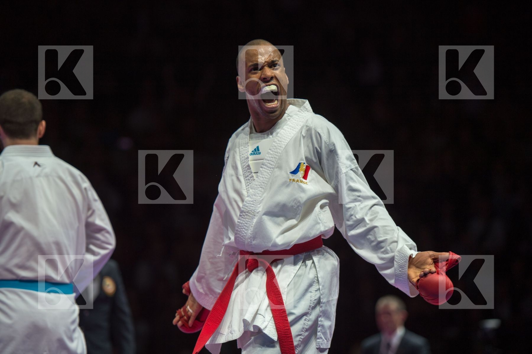final france kumite Male team Turkey
