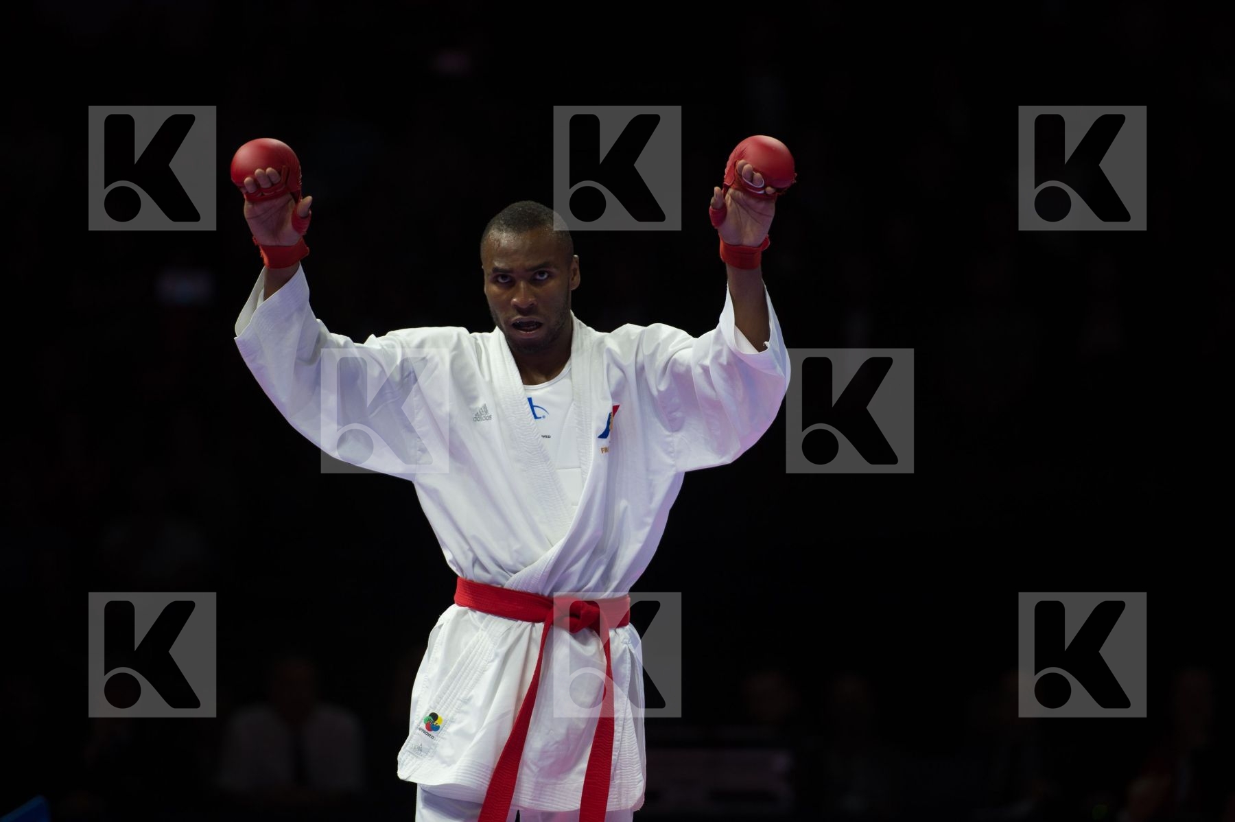 final france kumite Male team Turkey