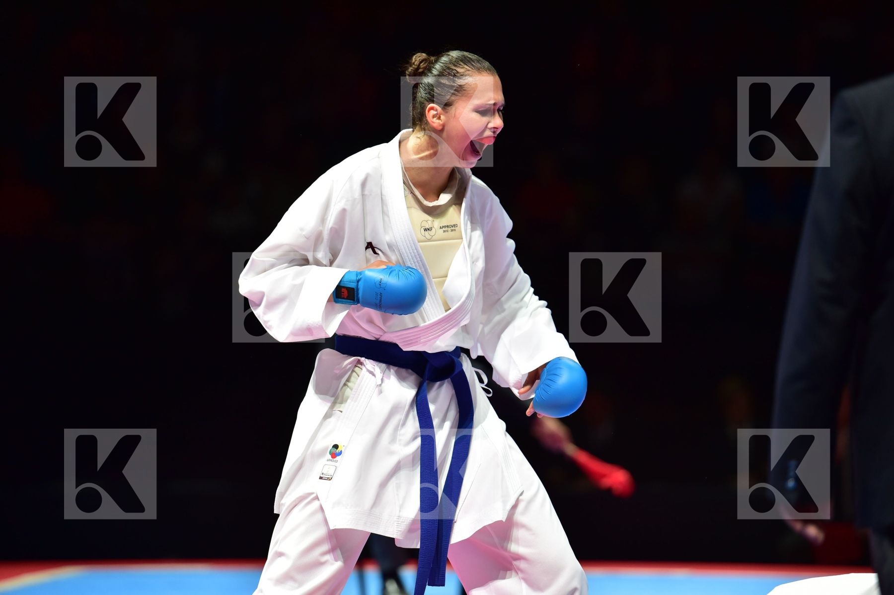 68+ Kg Konjevic Dragana Montenegro palacio Gonzalez Laura semi-f