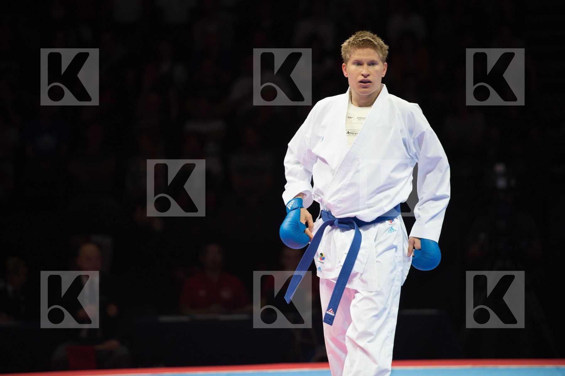 bulgaria Category Country1 Country2 IsFinal male kumite -75 kg N