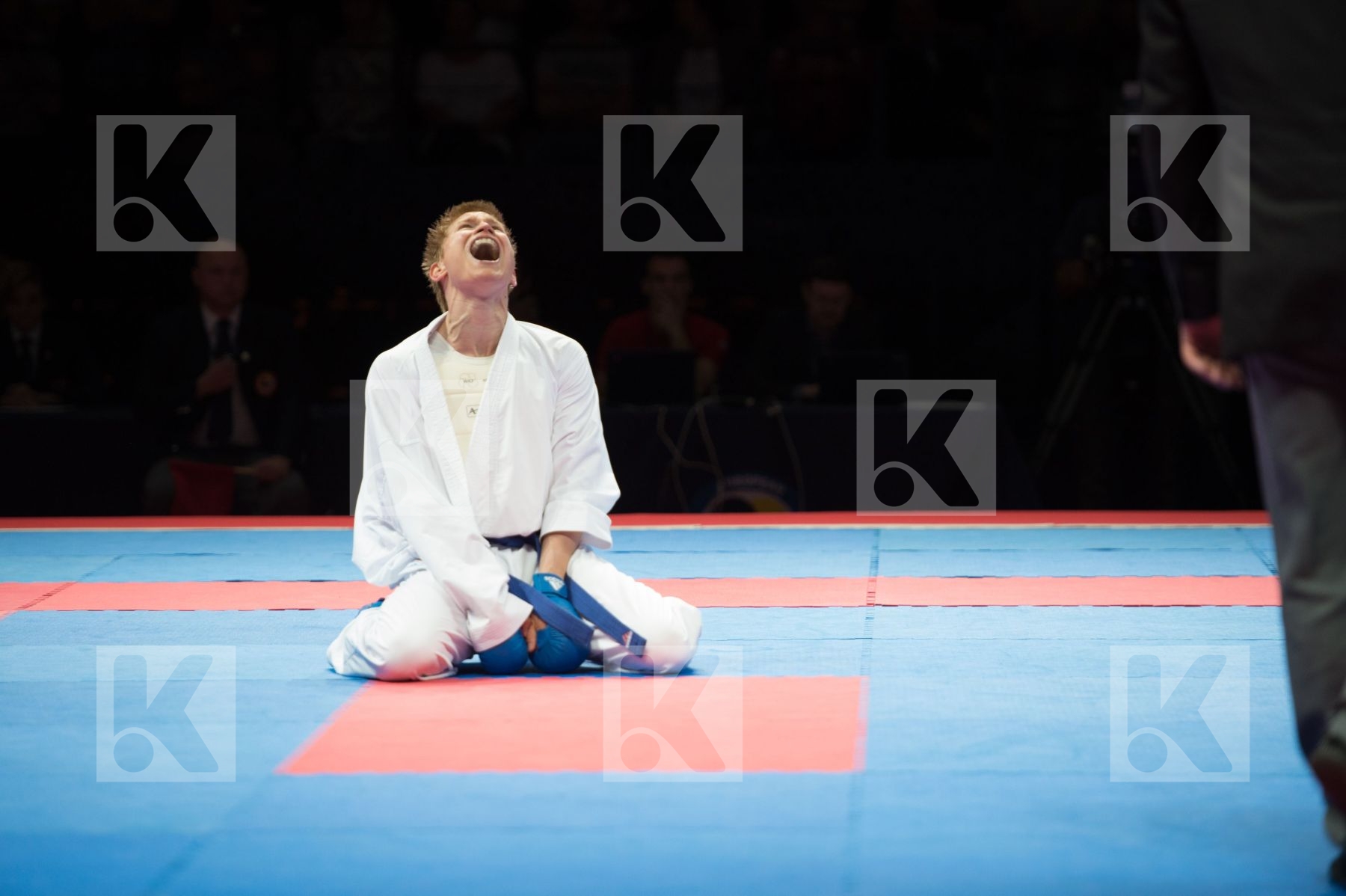 bulgaria Category Country1 Country2 IsFinal male kumite -75 kg N