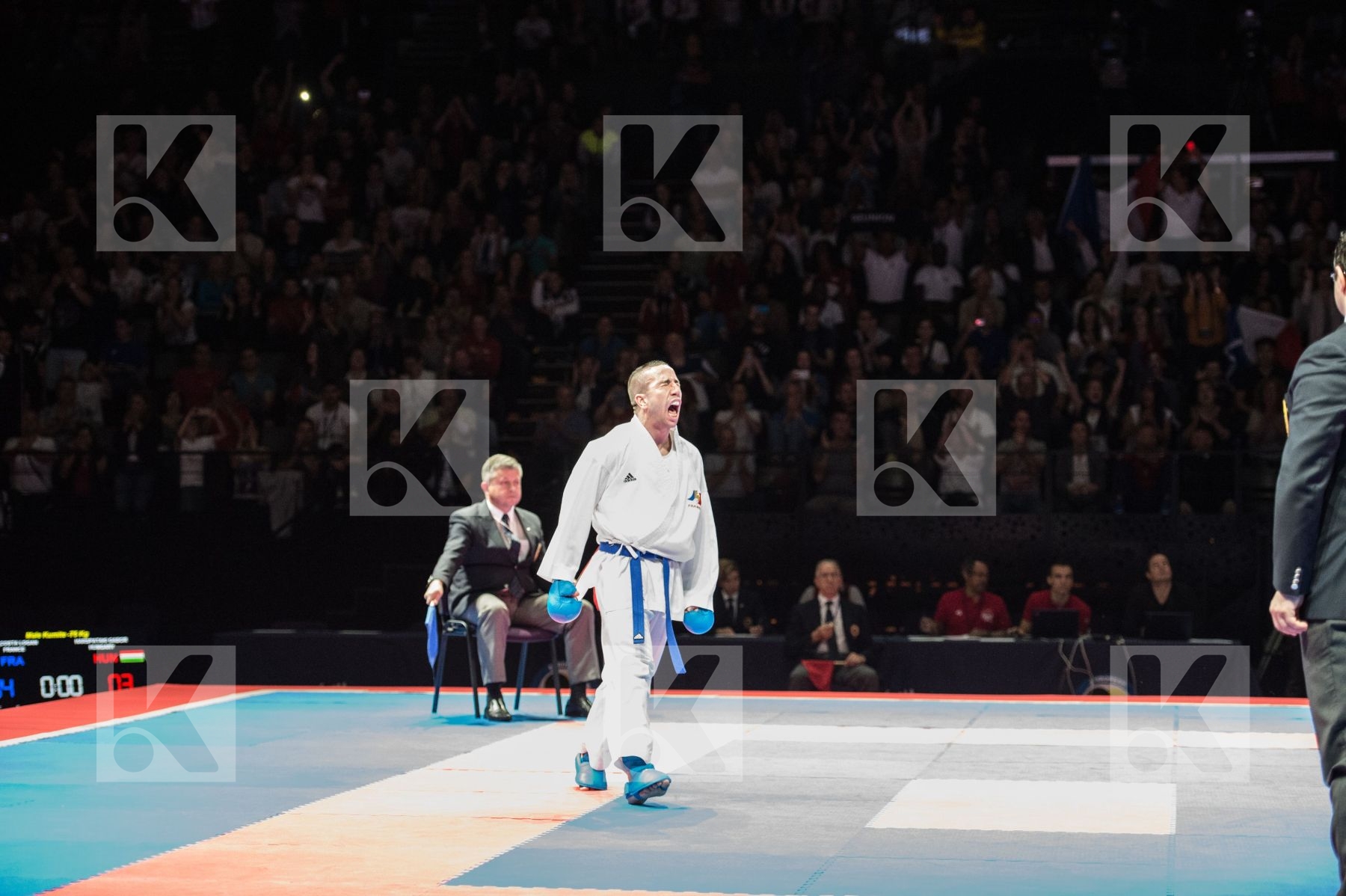 Category Country1 Country2 Da Costa Logan france harspataki gabo