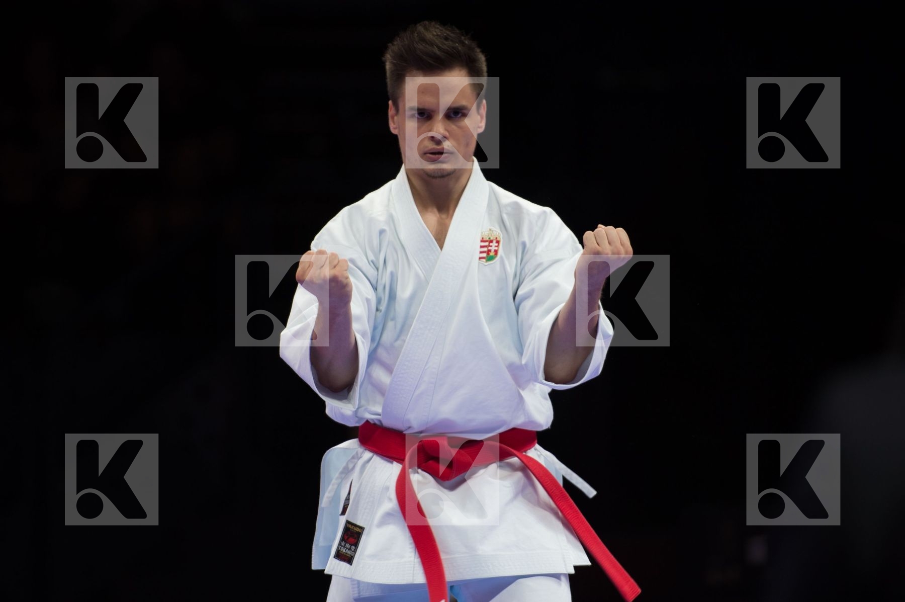 Hungary kata Male Nagy Botond semi-final