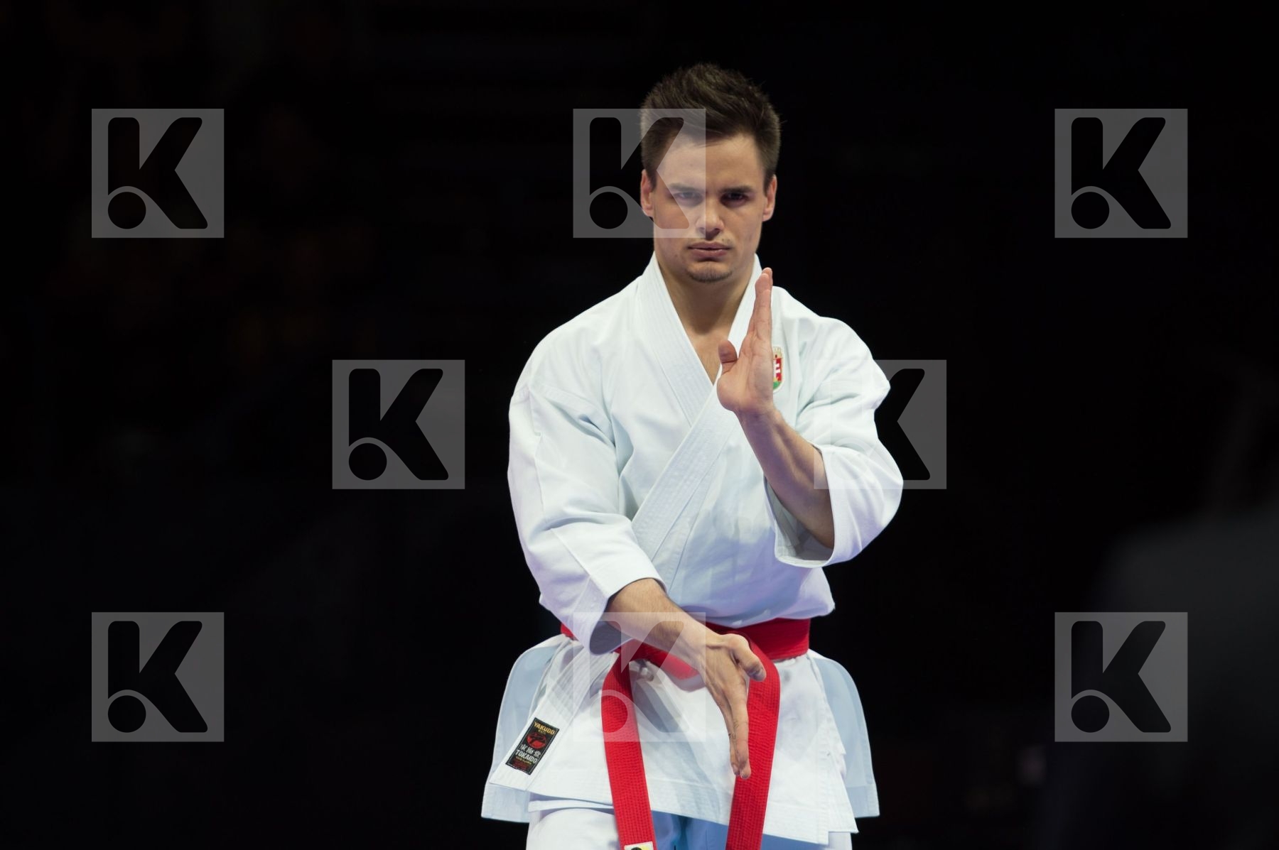 Hungary kata Male Nagy Botond semi-final