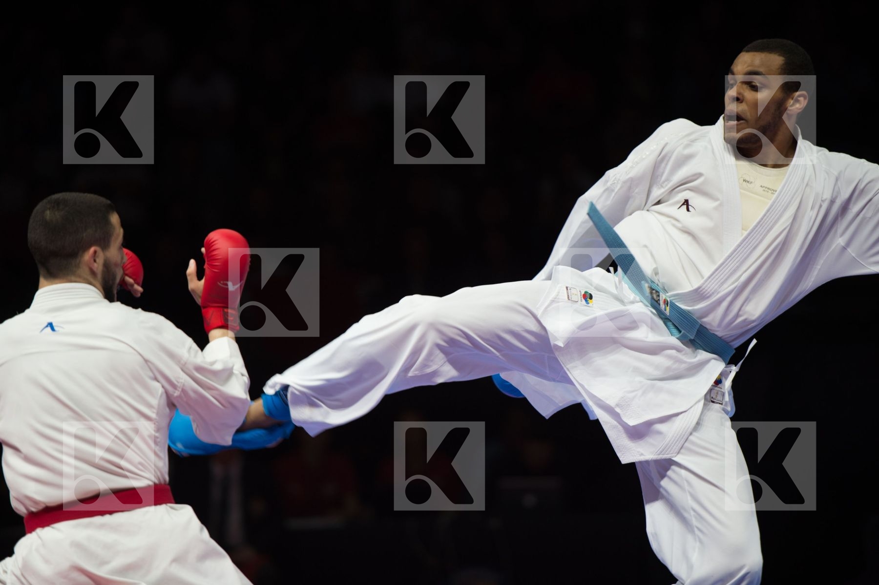 kumite Male netherlands semi-final Serbia team