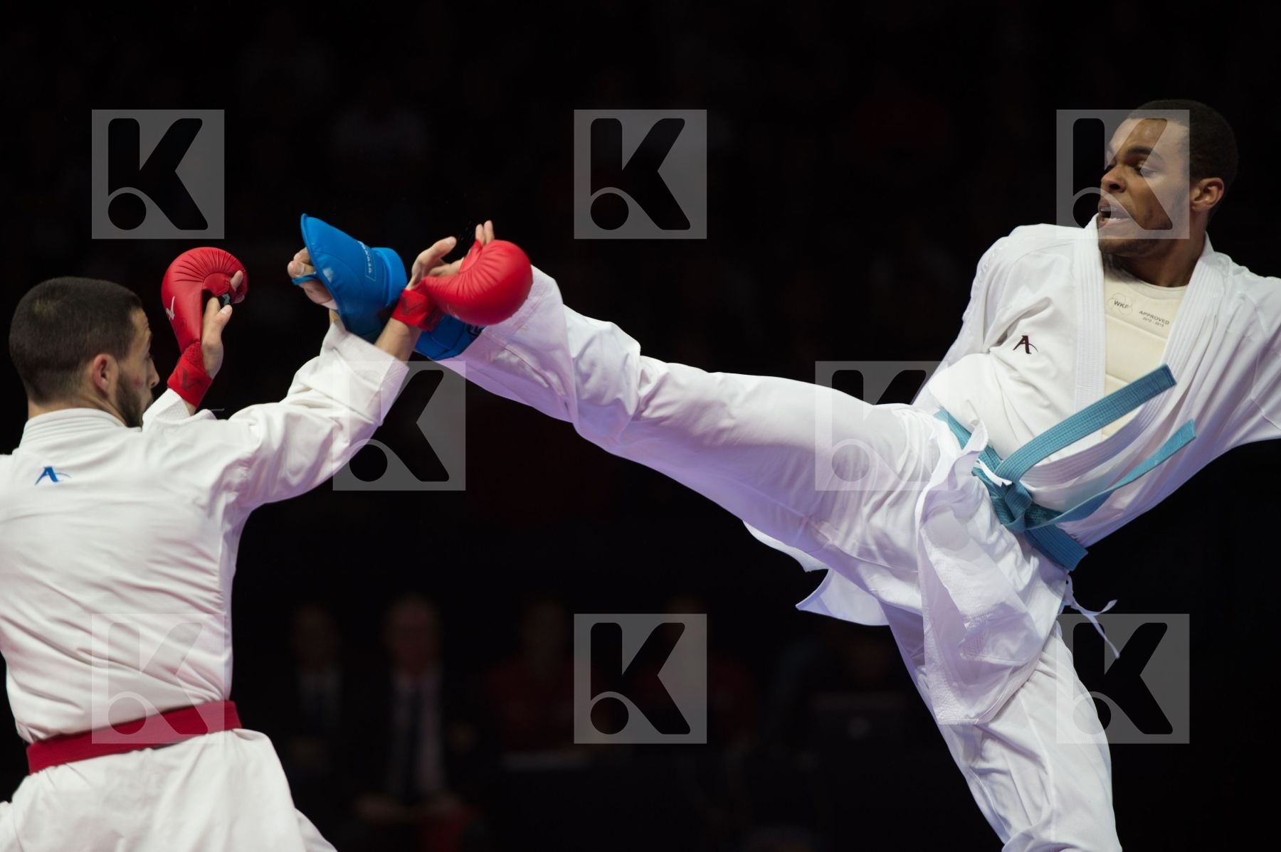 kumite Male netherlands semi-final Serbia team
