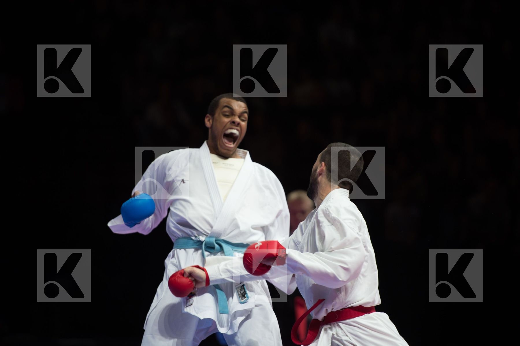 kumite Male netherlands semi-final Serbia team