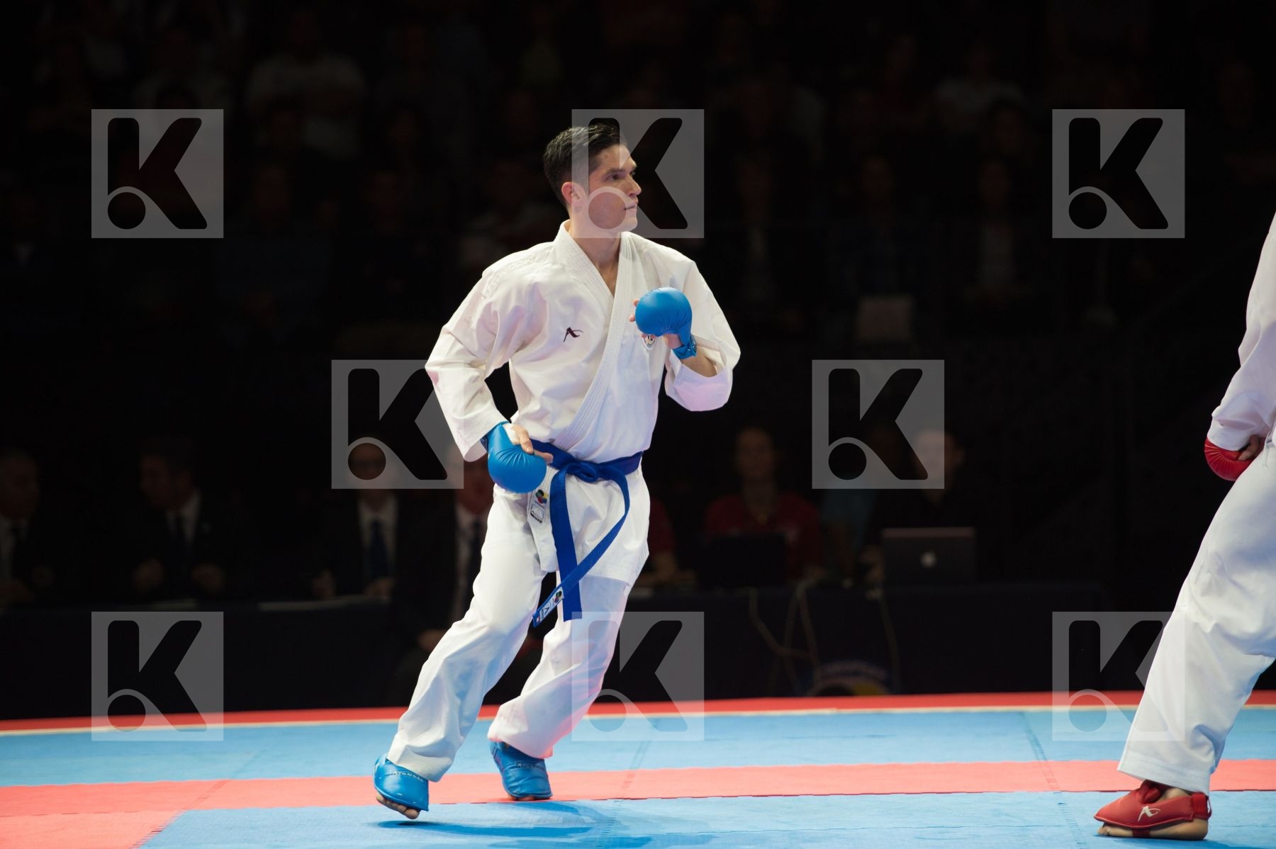 kumite Male netherlands semi-final Serbia team