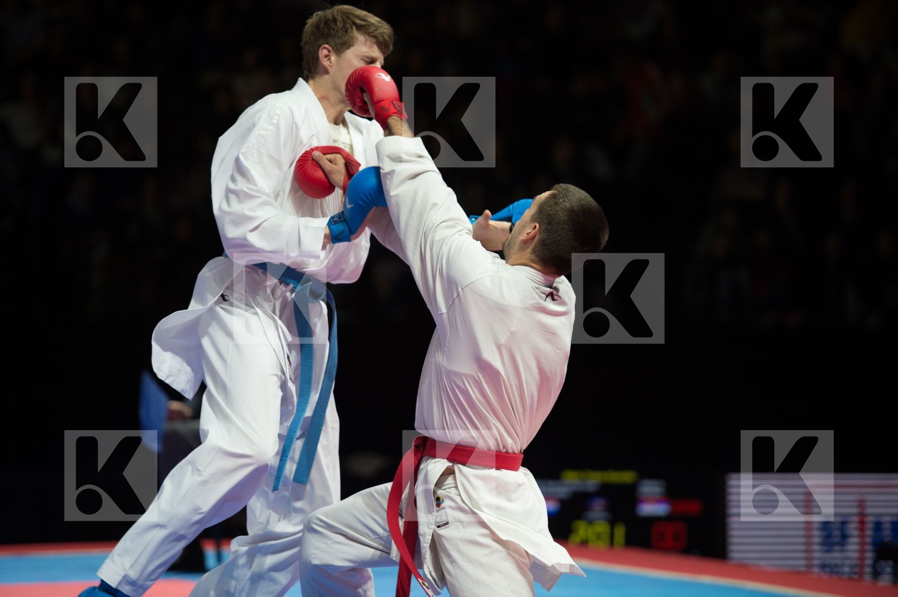 kumite Male netherlands semi-final Serbia team