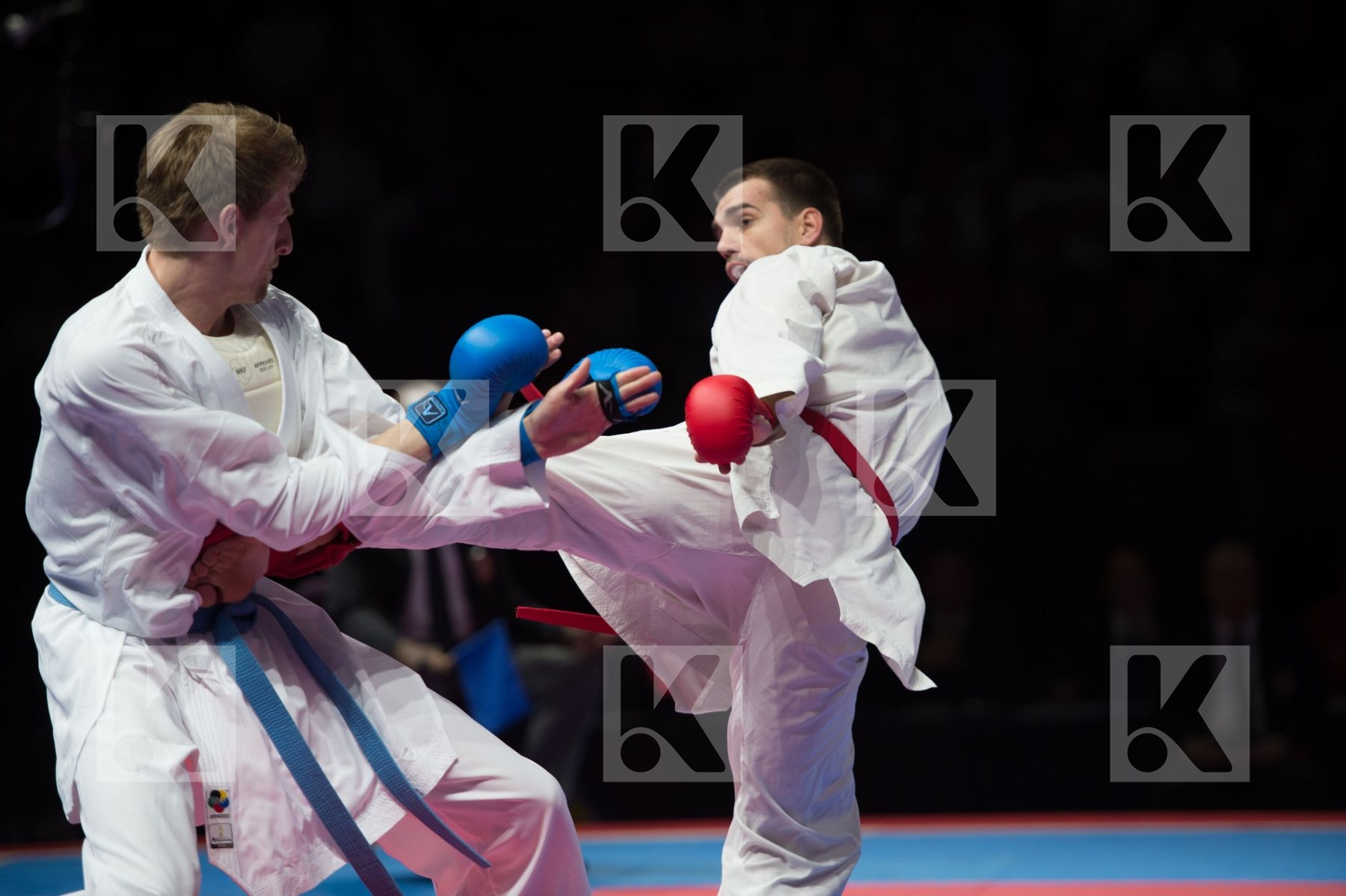 kumite Male netherlands semi-final Serbia team