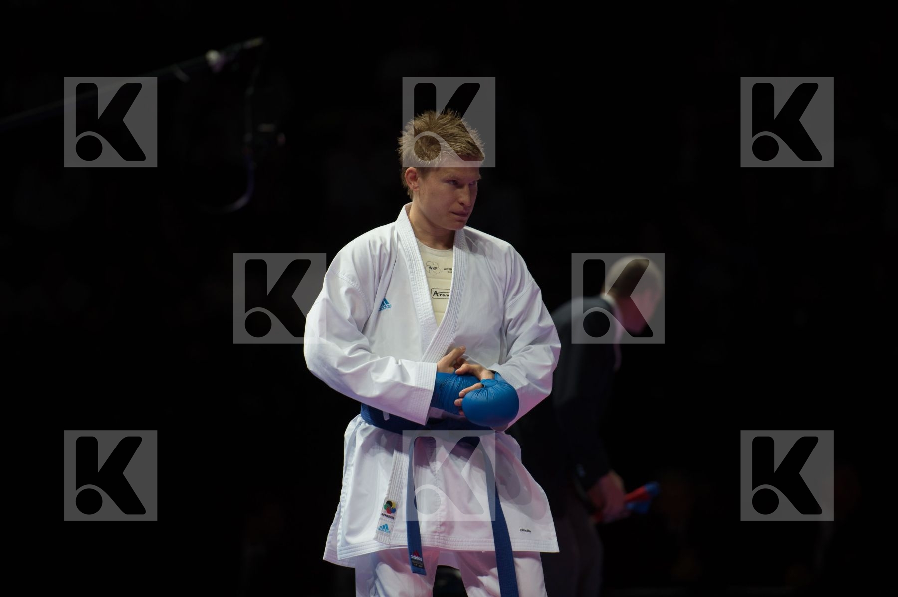 kumite Male netherlands semi-final Serbia team