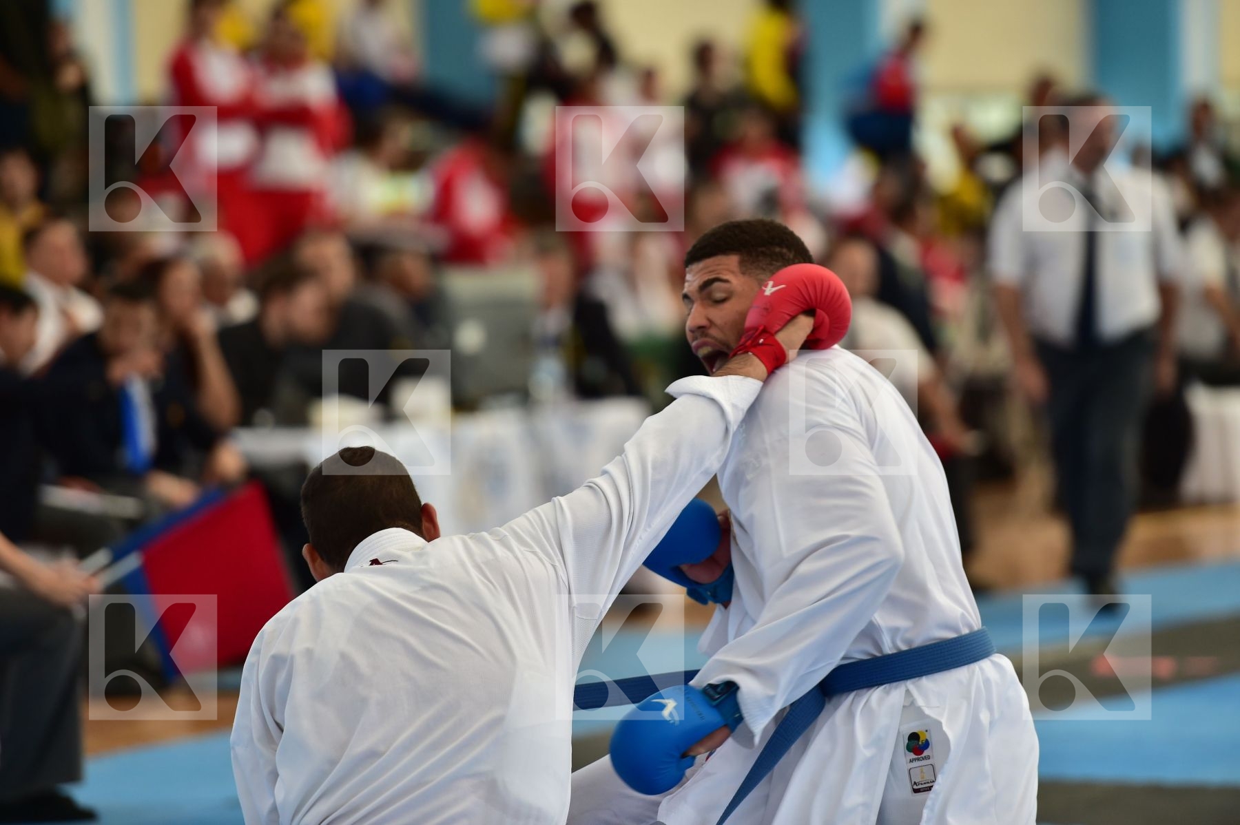 Top action photo N°36