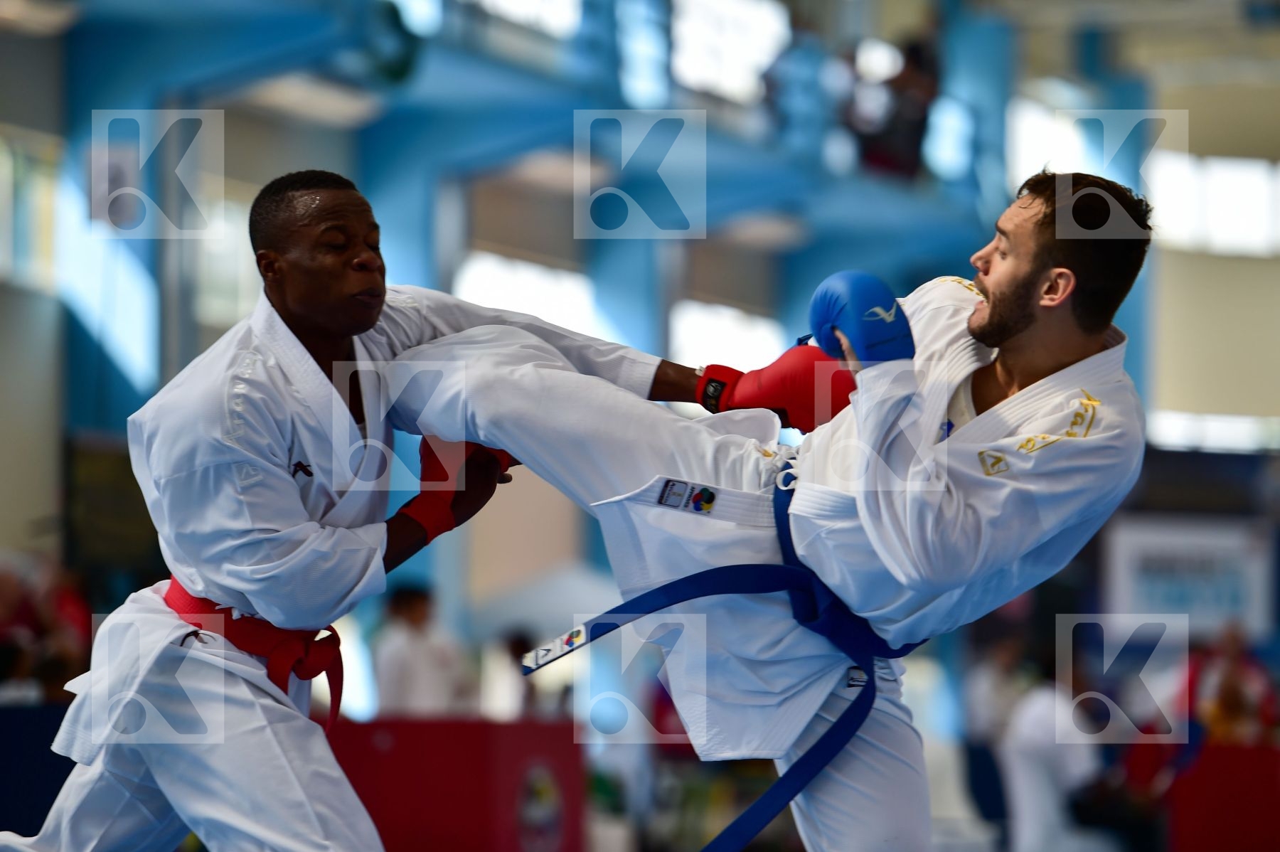 Top action photo N°52