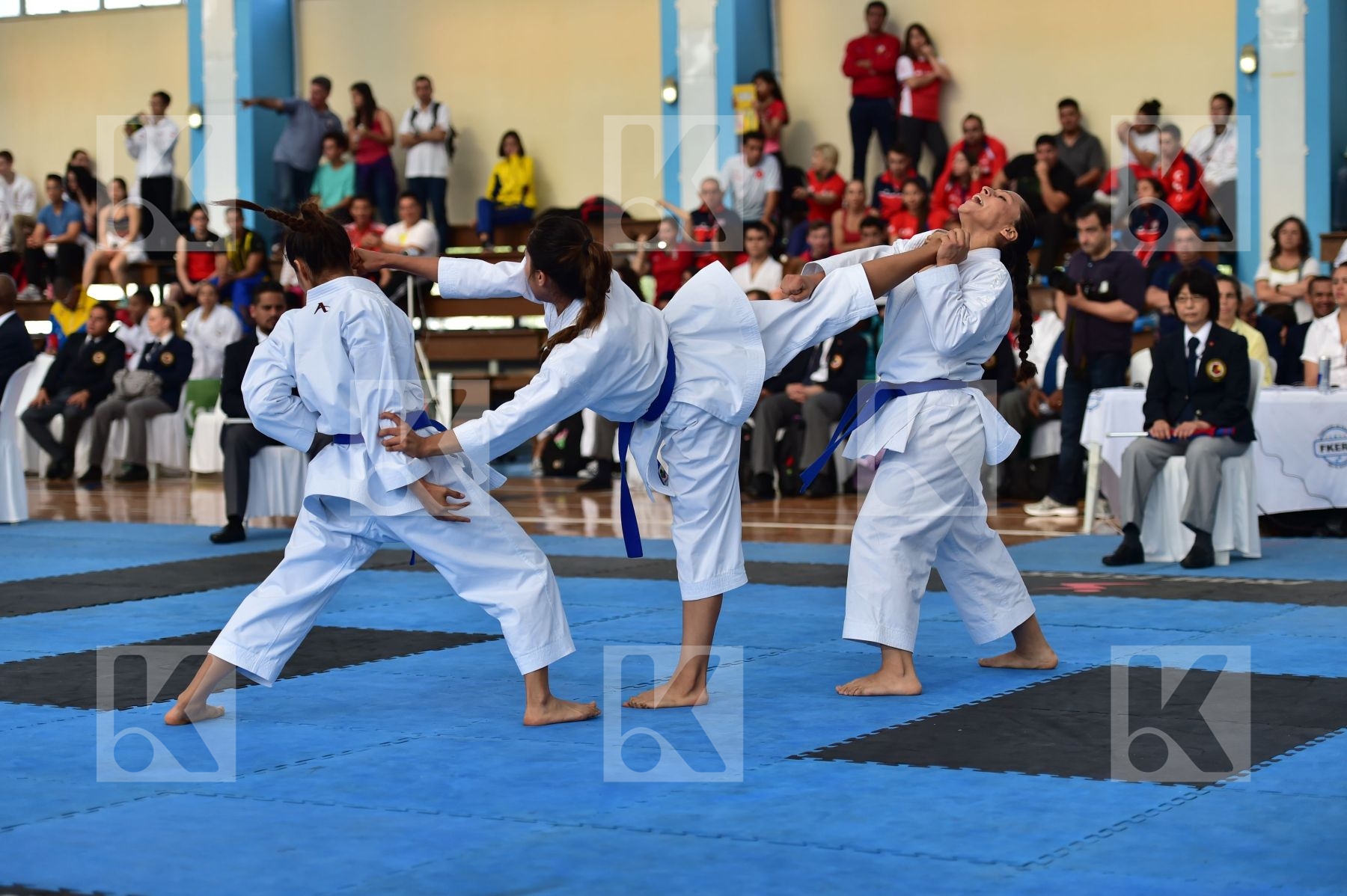 Top action photo N°61