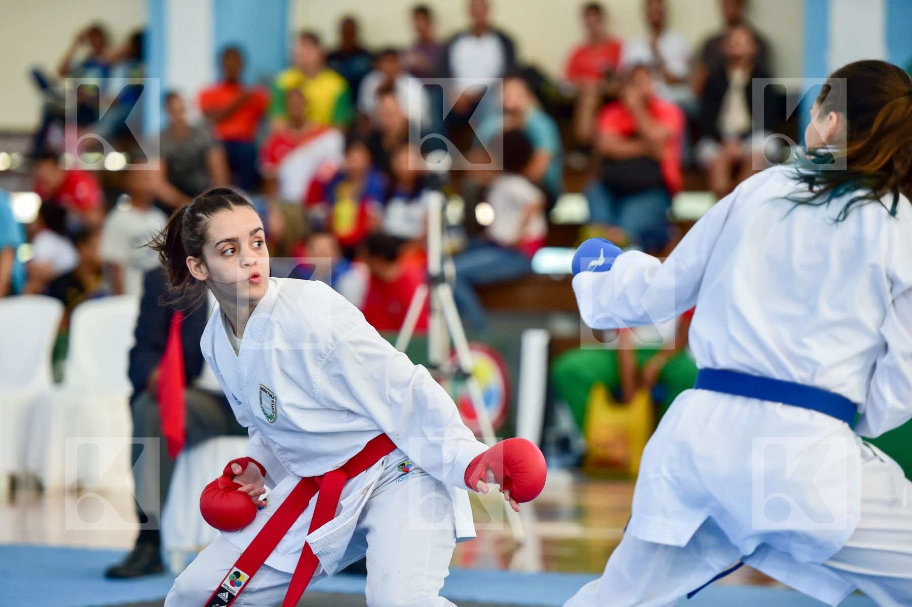 -55 Kg Argentina Female final kumite Novak Giuliana Peru Vindrol