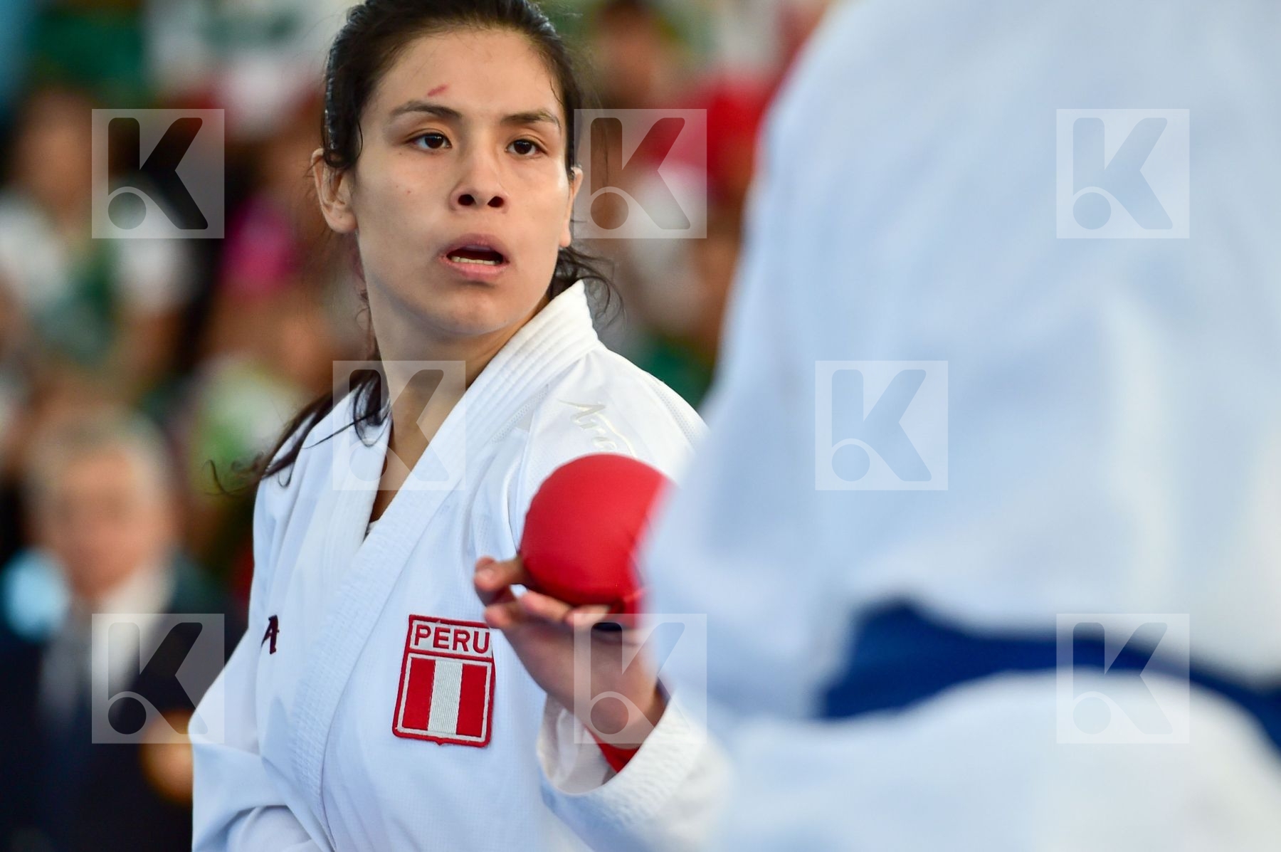 68+ Kg Aco Isabel Mallory Echever Valeria Ecuador Female final k