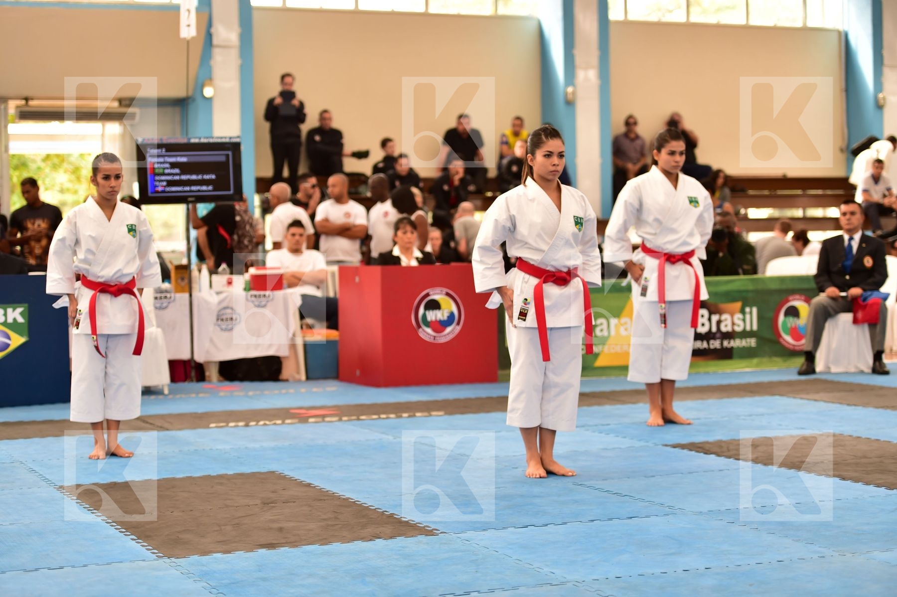 Brasil Female final kata Shureido team