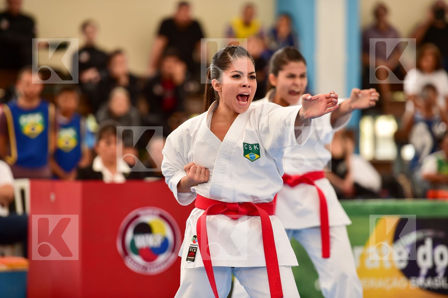Brasil Female final kata Shureido team