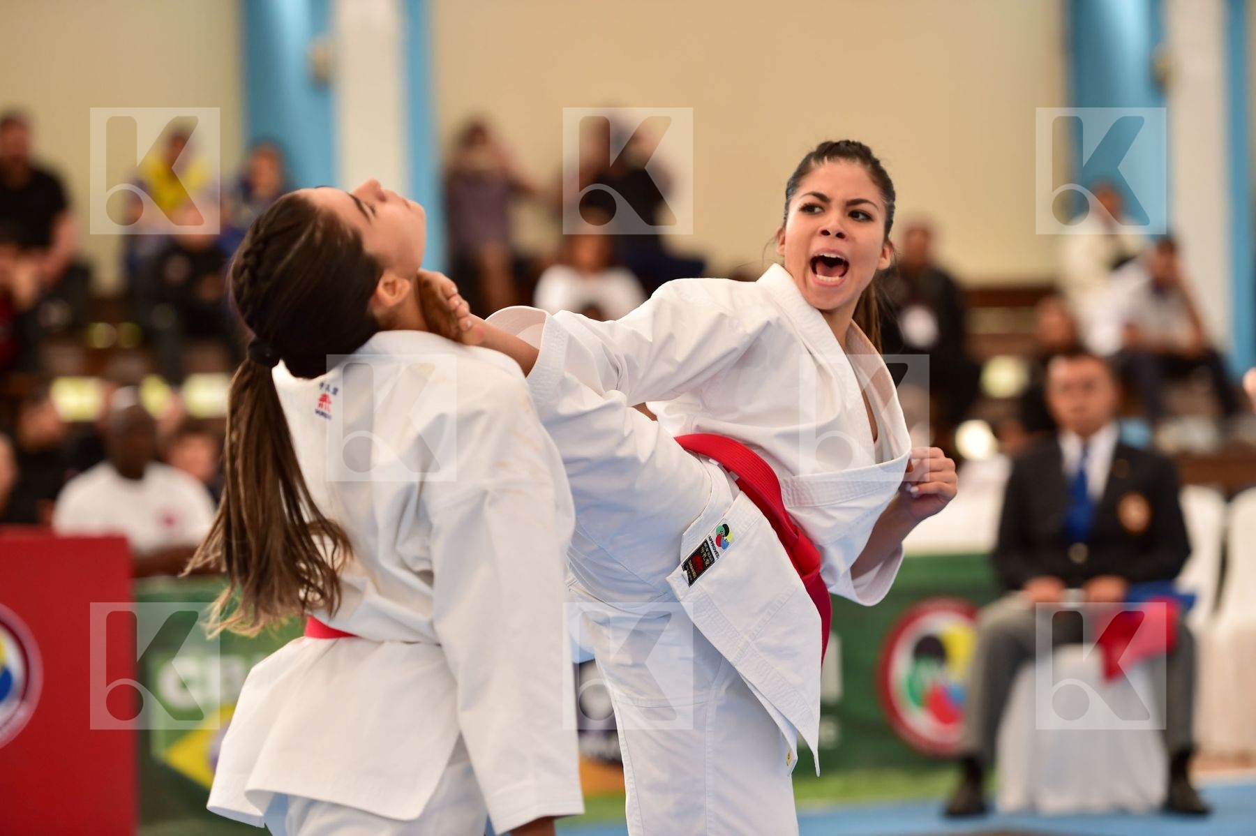 Brasil Female final kata Shureido team