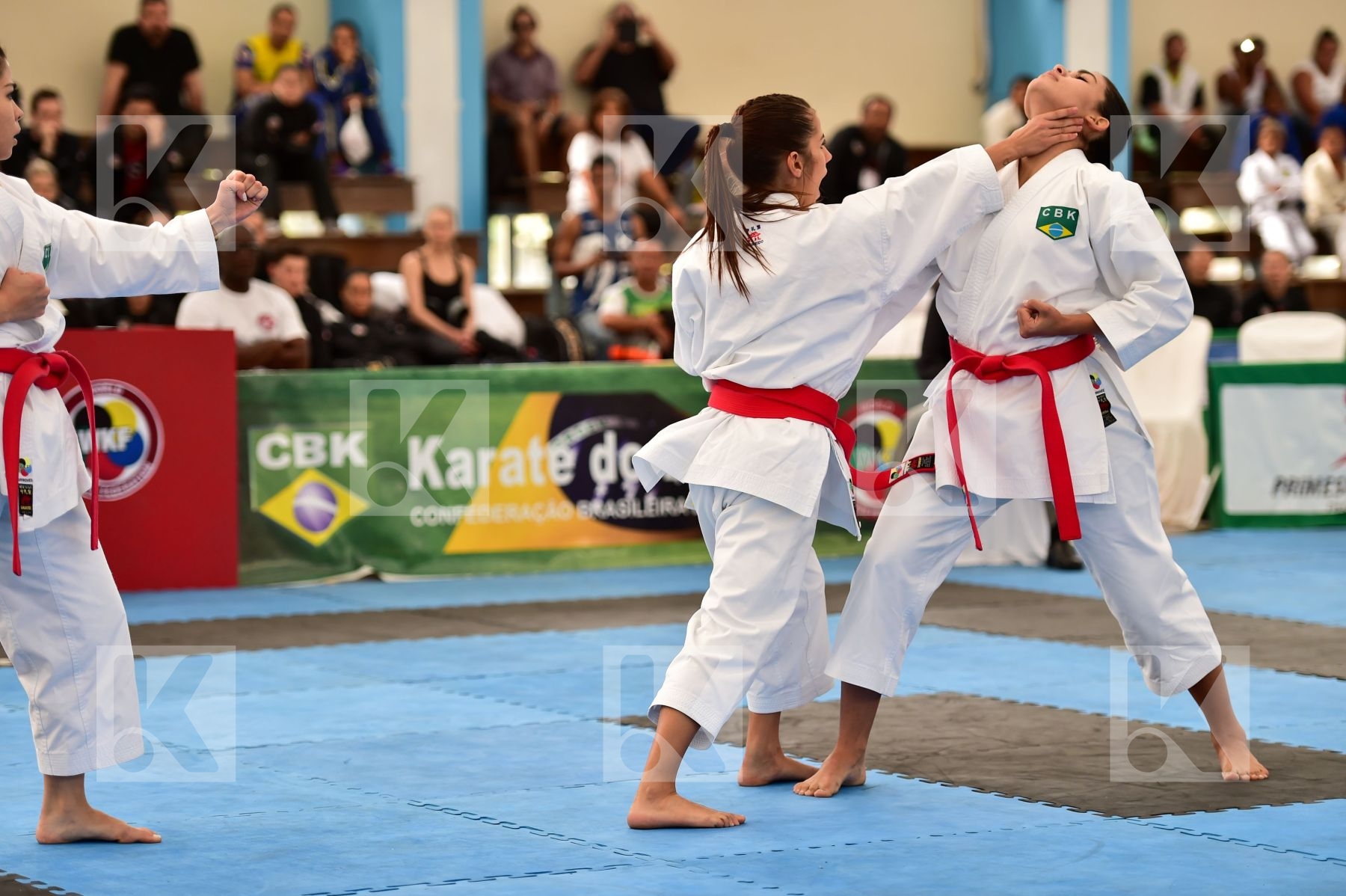 Brasil Female final kata Shureido team