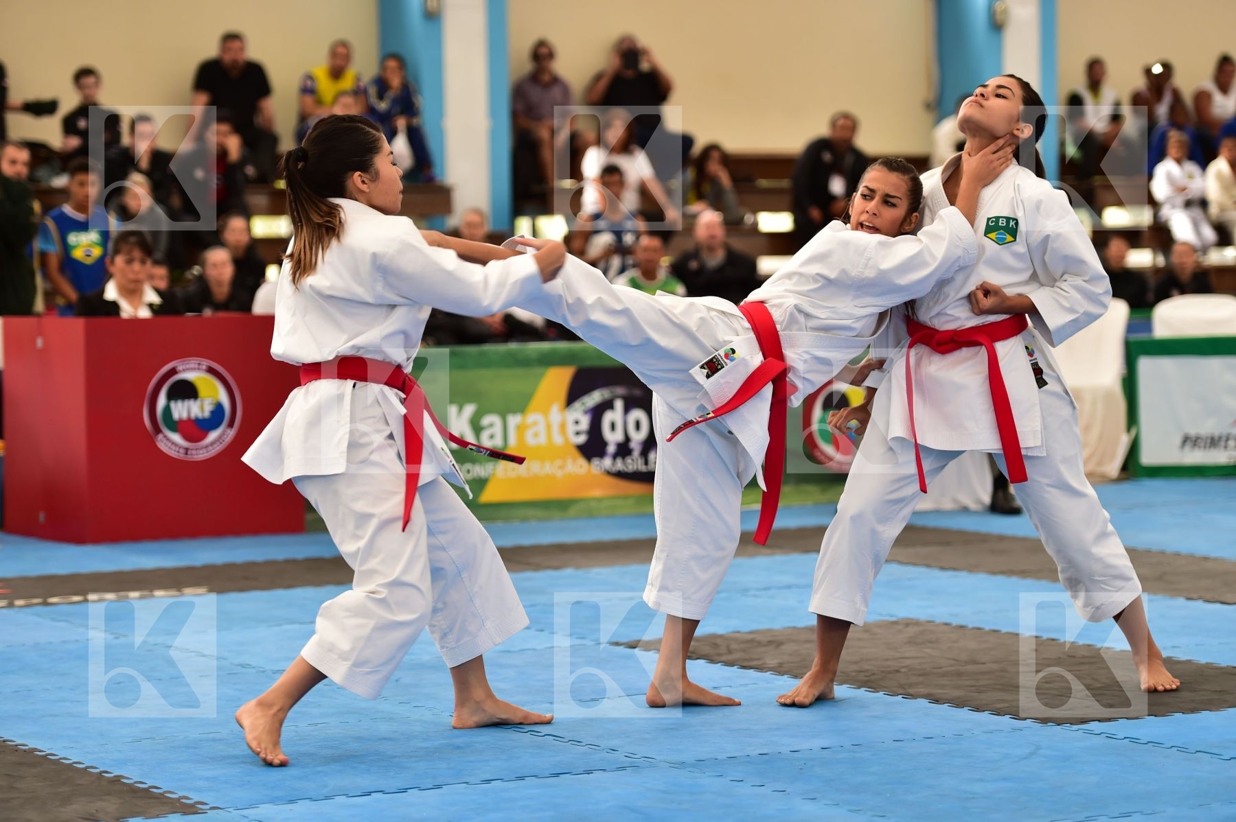 Brasil Female final kata Shureido team