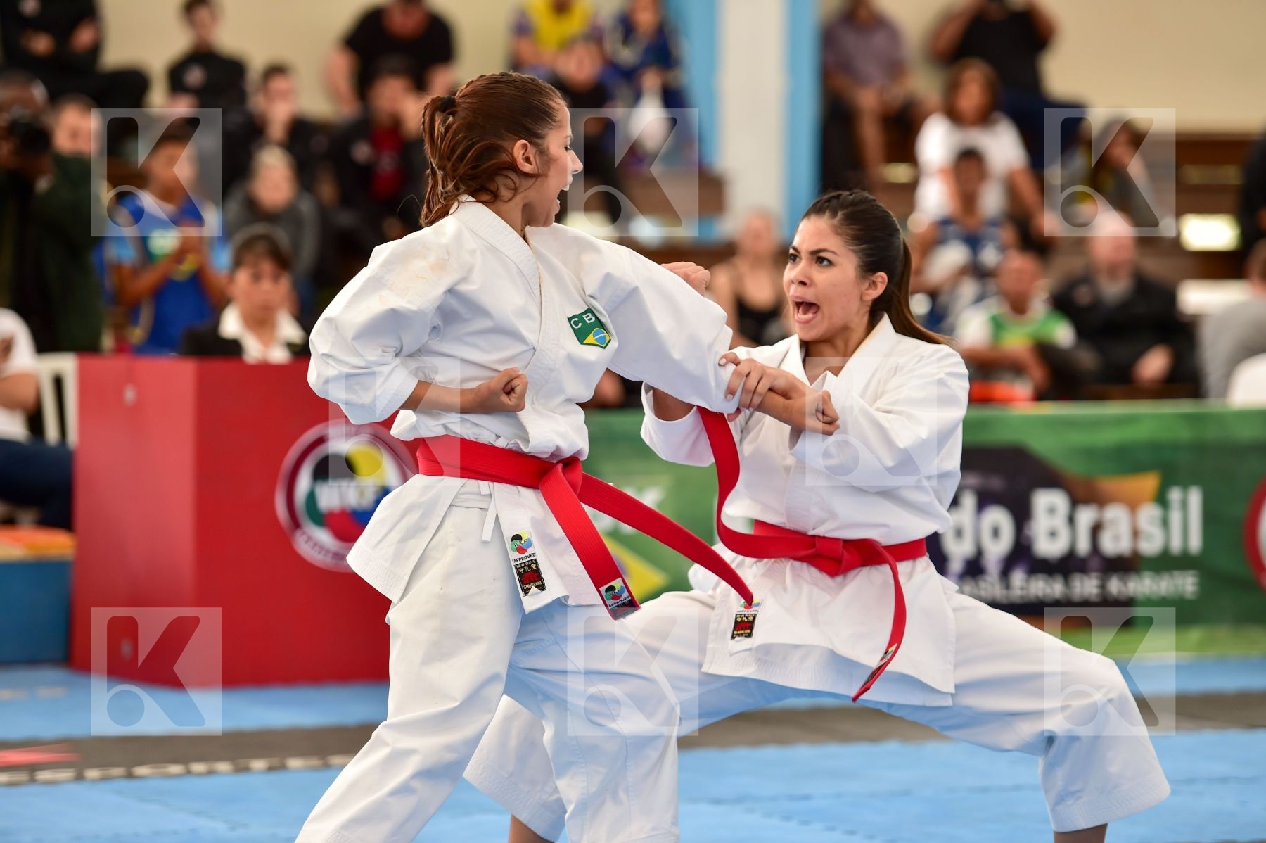 Brasil Female final kata Shureido team