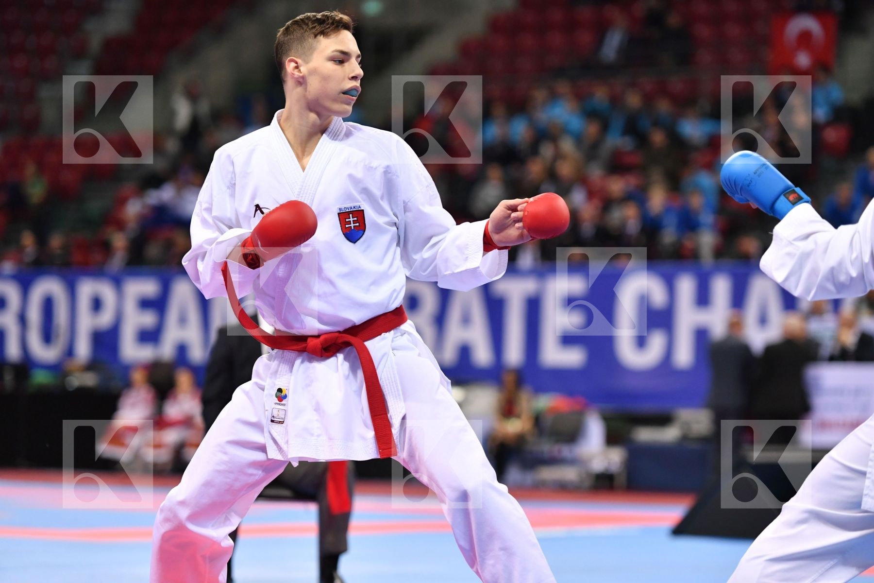 Drozd Pavel Gyurik Adi Junior kumite male -76 kg Russian federat