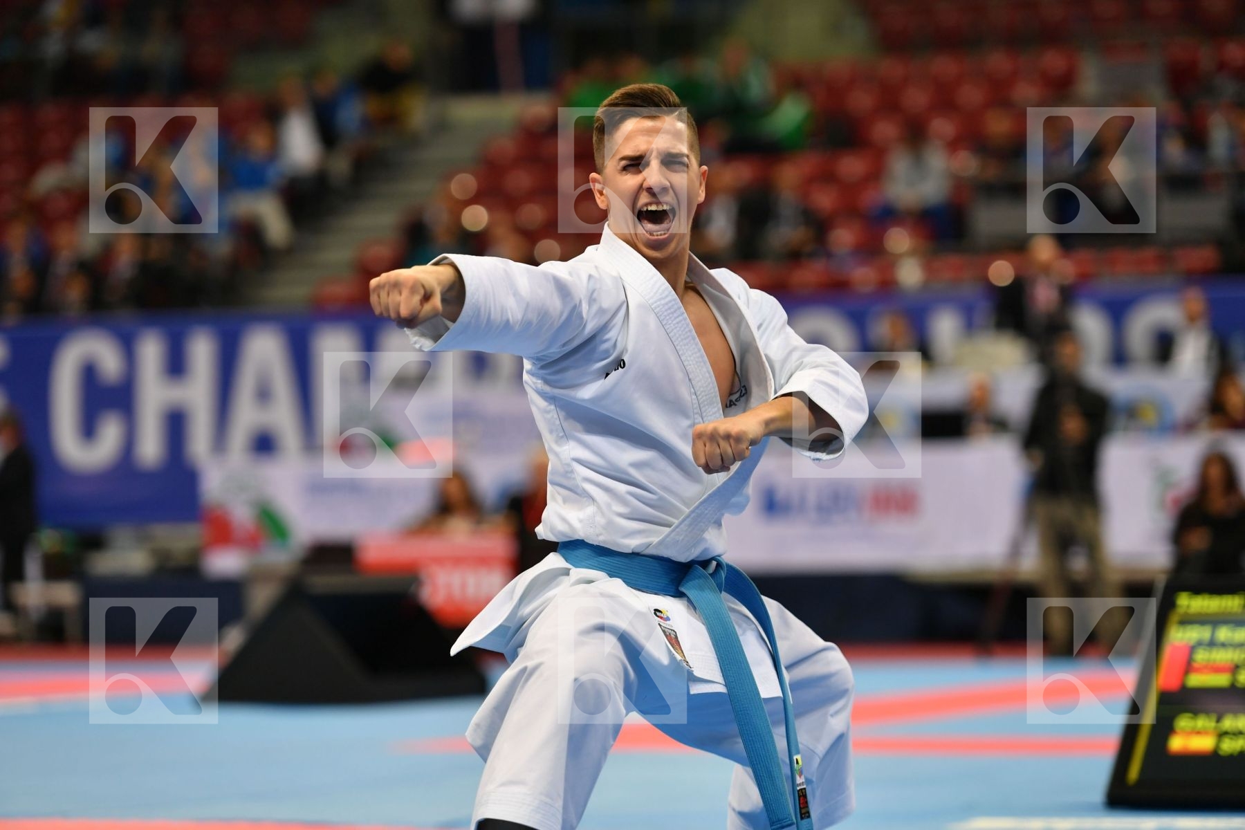 Galan Lopez Sergio, Spain, U21 kata male