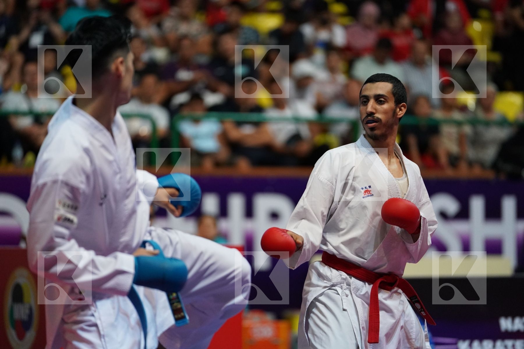 ALHAKAMI ABDULAZIZ (SAUDI ARABIA) vs NISHIMURA KEN (JAPAN) in Senior Kumite -75 Kg - Final bout