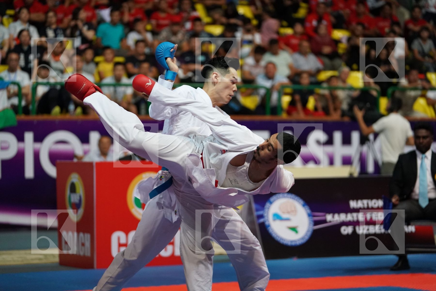 ALHAKAMI ABDULAZIZ (SAUDI ARABIA) vs NISHIMURA KEN (JAPAN) in Senior Kumite -75 Kg - Final bout