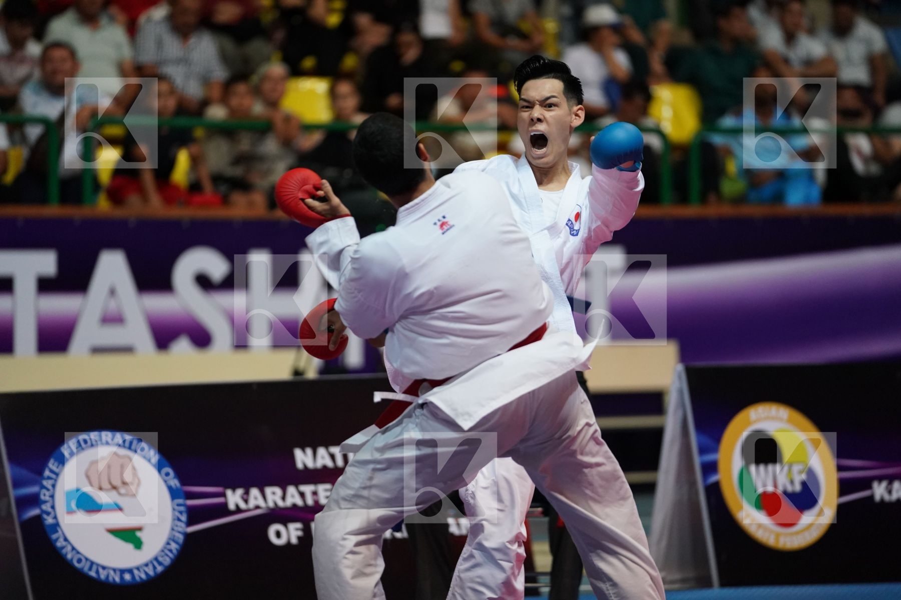 ALHAKAMI ABDULAZIZ (SAUDI ARABIA) vs NISHIMURA KEN (JAPAN) in Senior Kumite -75 Kg - Final bout
