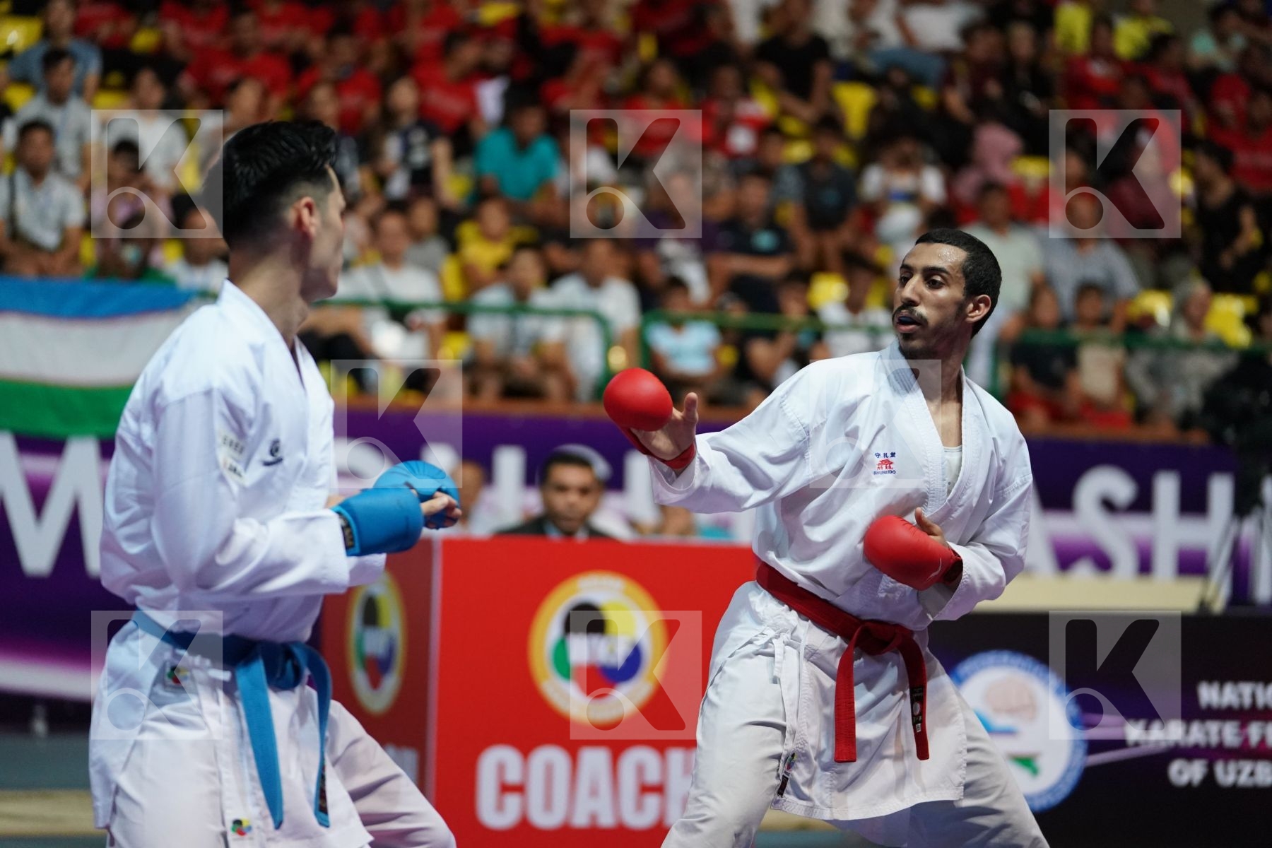 ALHAKAMI ABDULAZIZ (SAUDI ARABIA) vs NISHIMURA KEN (JAPAN) in Senior Kumite -75 Kg - Final bout