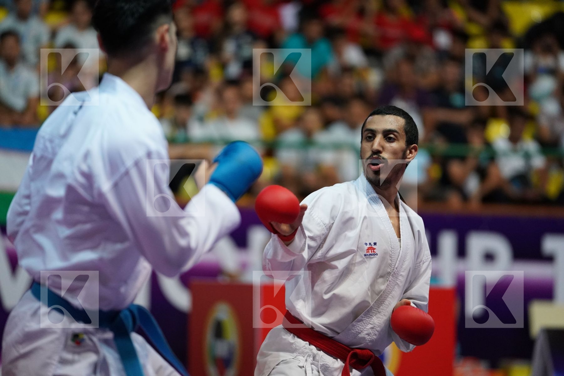 ALHAKAMI ABDULAZIZ (SAUDI ARABIA) vs NISHIMURA KEN (JAPAN) in Senior Kumite -75 Kg - Final bout